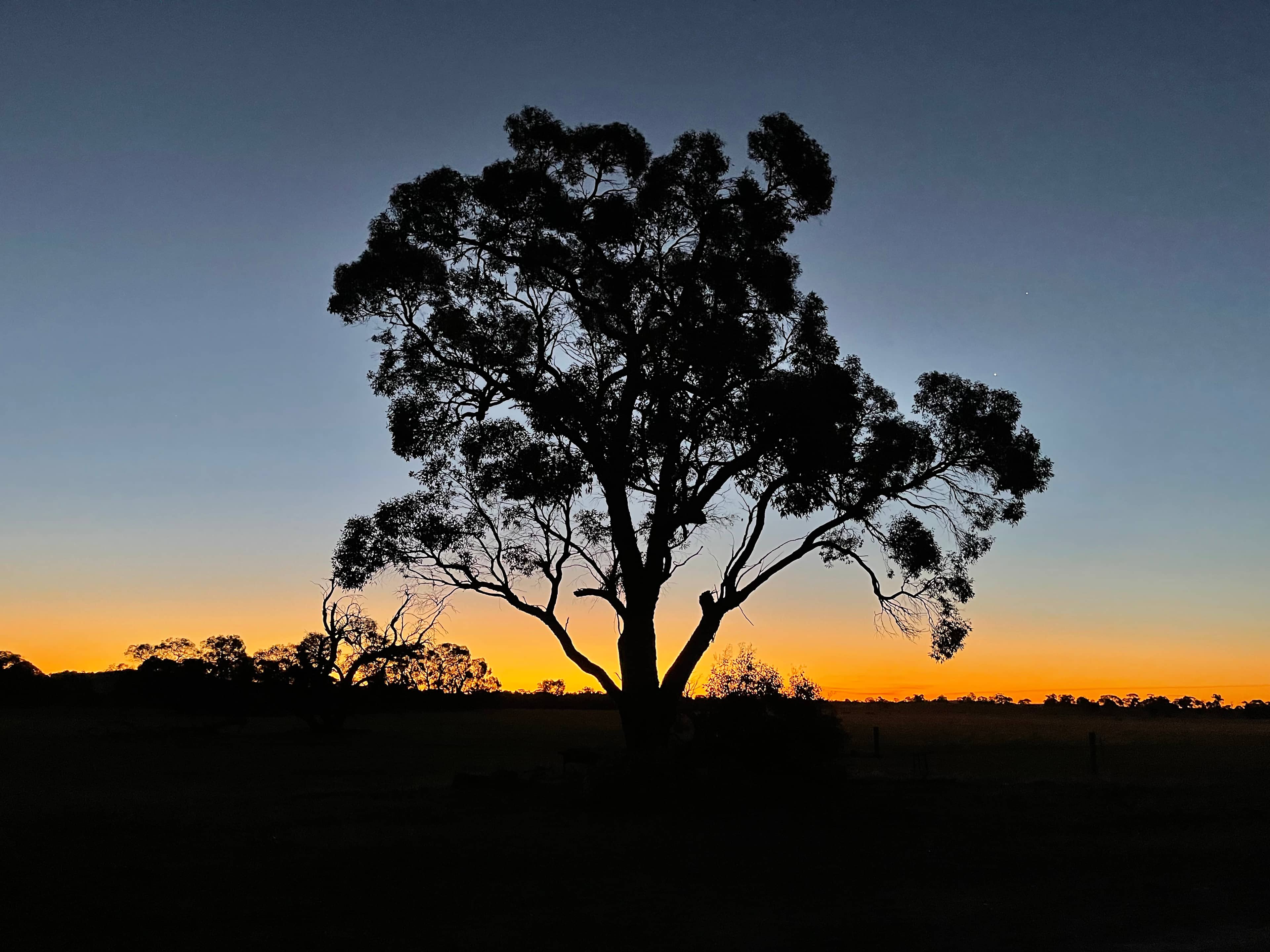 June sunset
