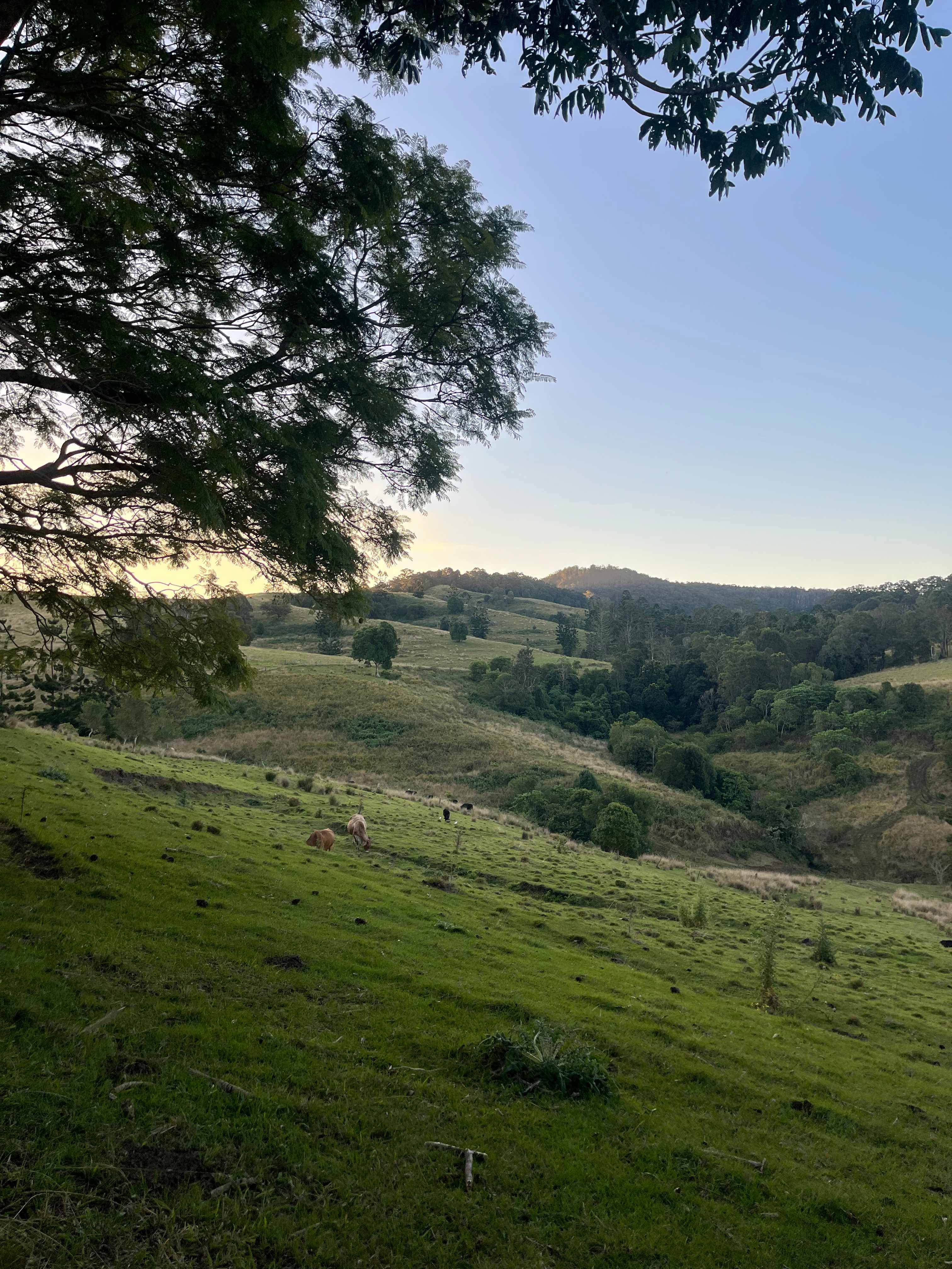 Oakey Ridge
