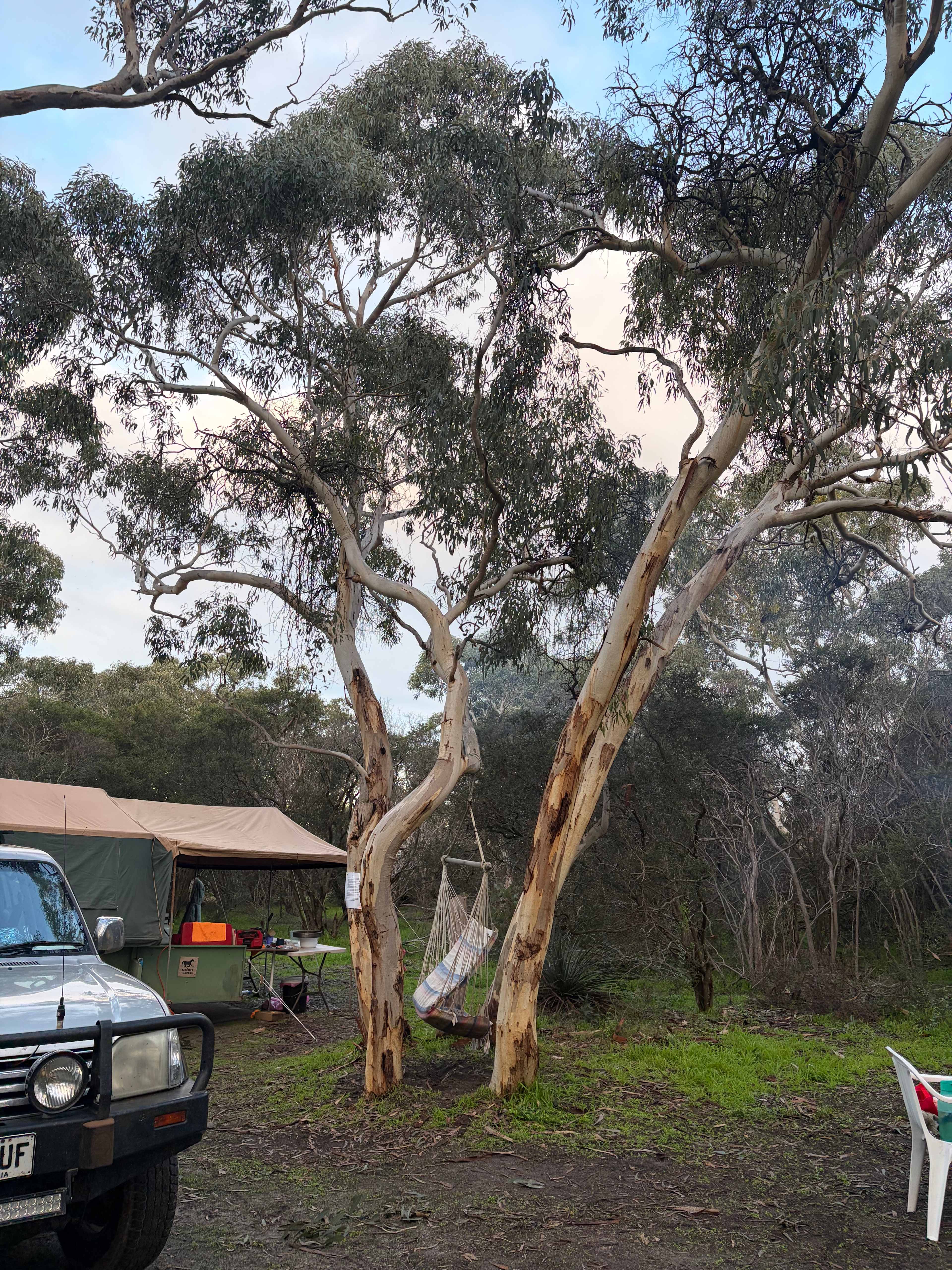 The Scrub Campsite - Adults only