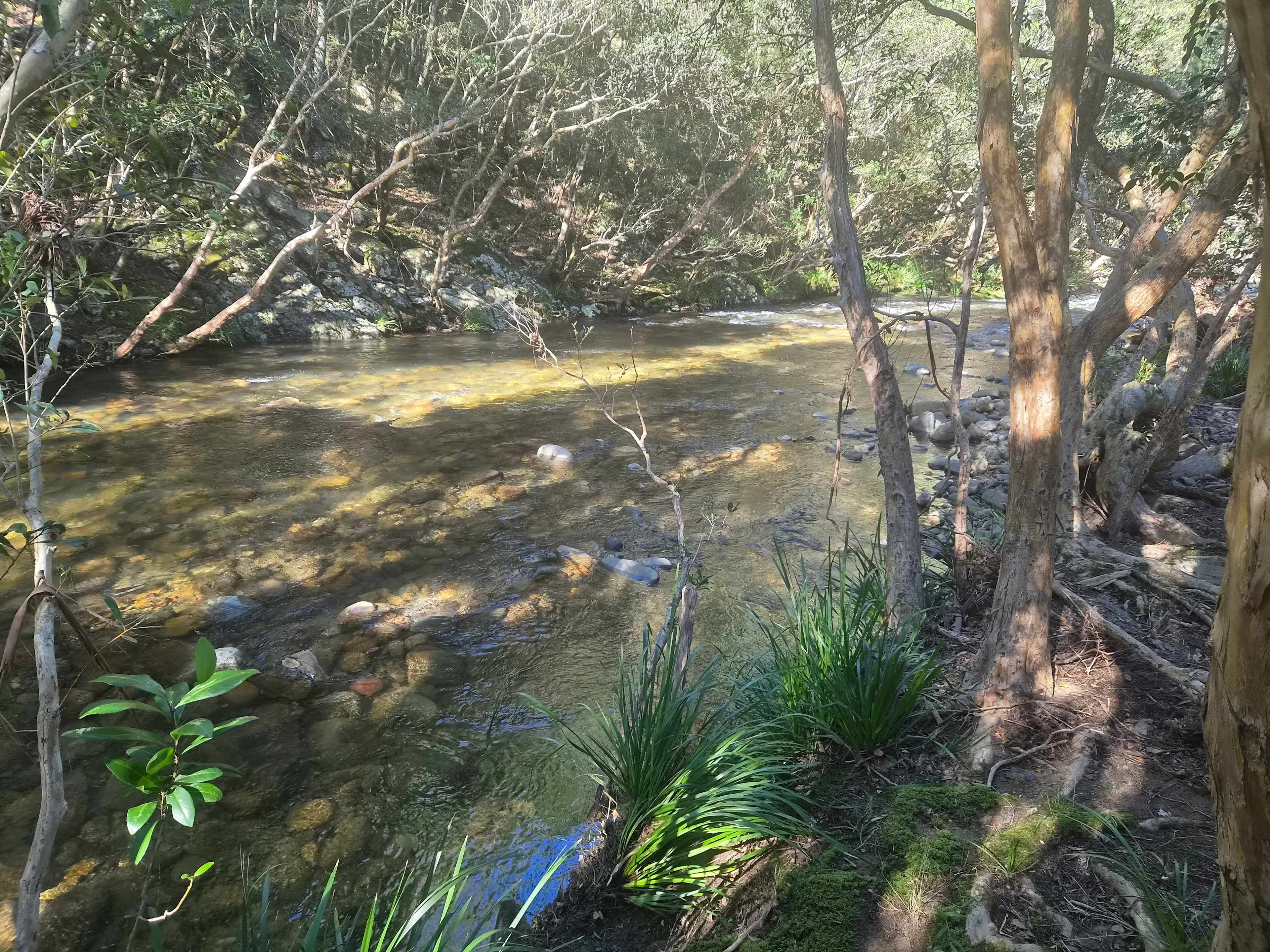 River outlook at site 4