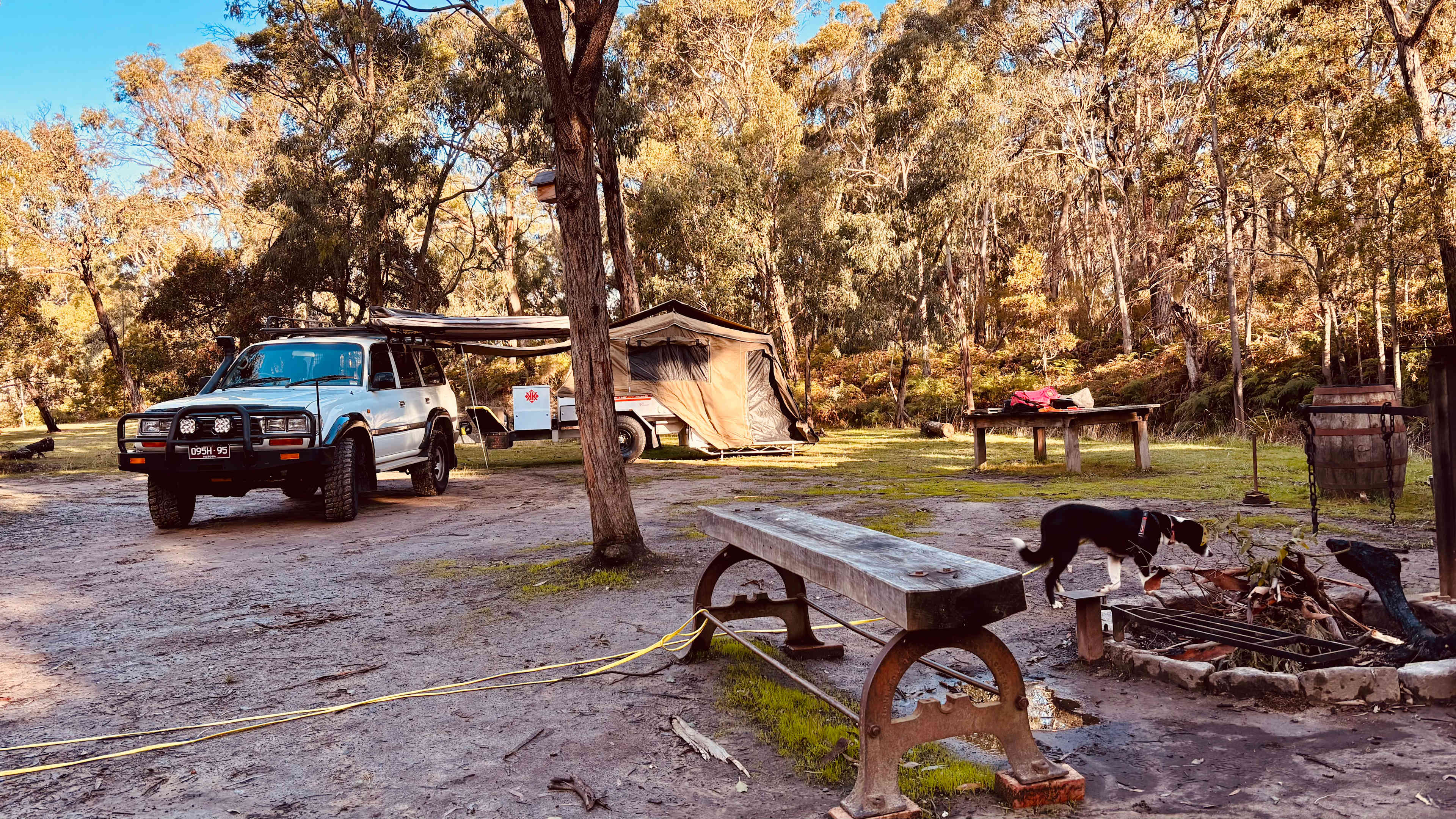 Penzance Bushland Retreat