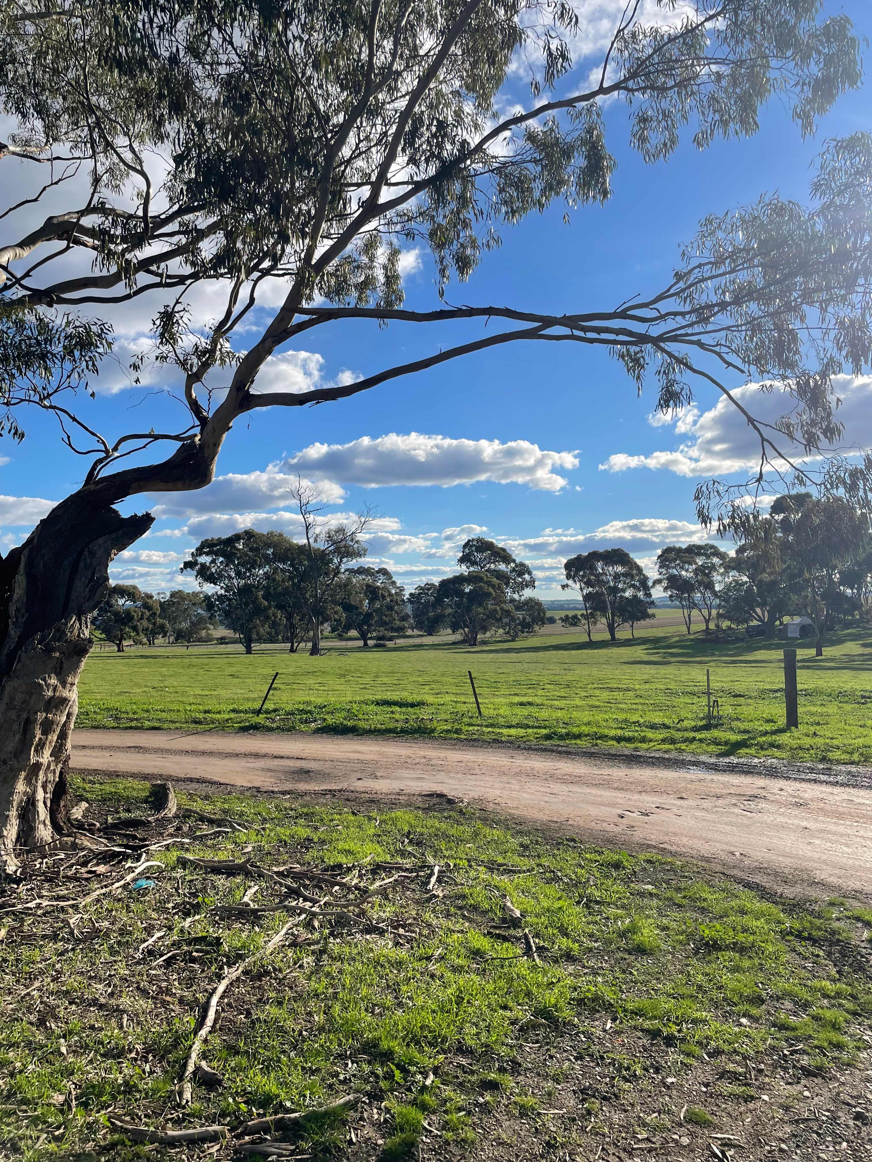 Edgehill Farm Stays Riverton