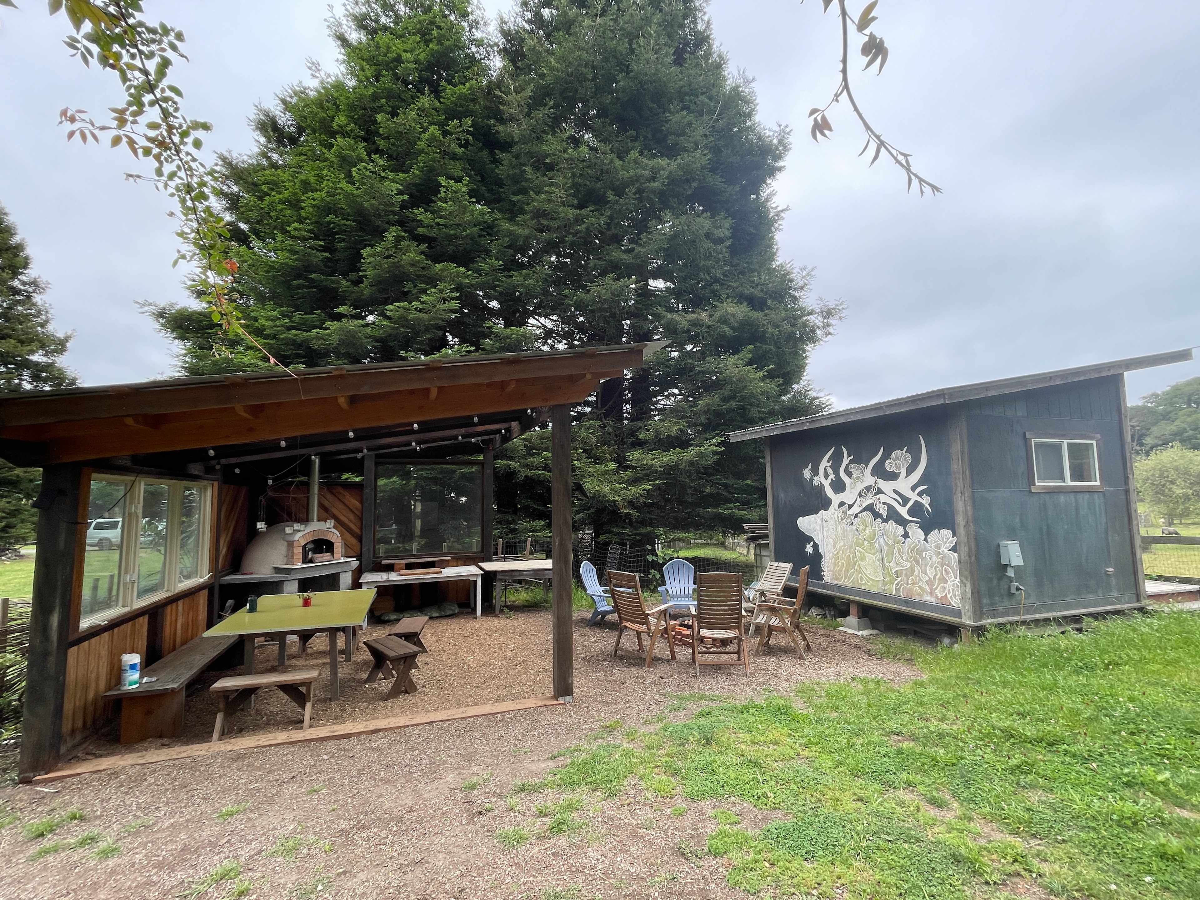 Meadow camping in Bolinas
