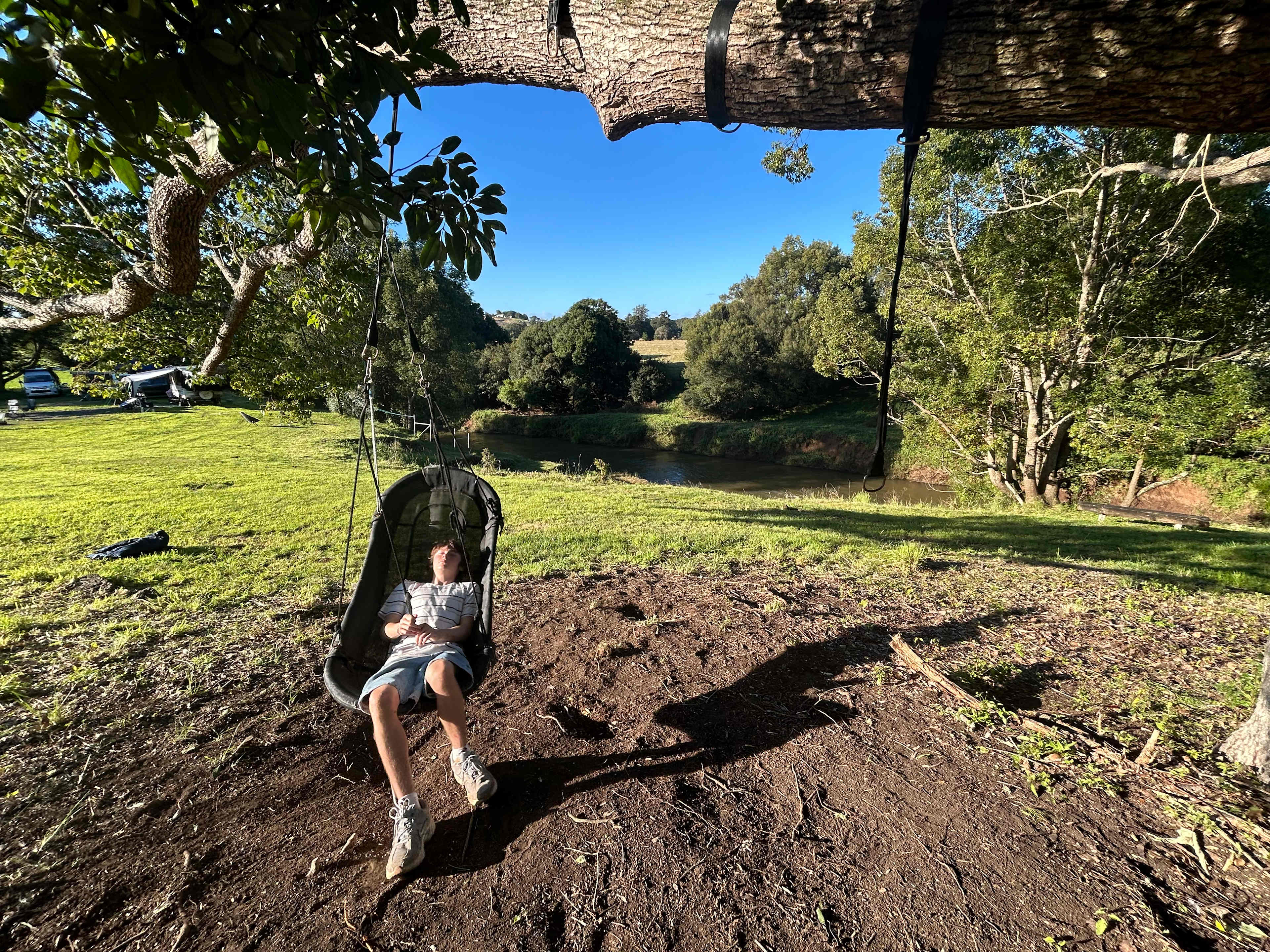 The swing 