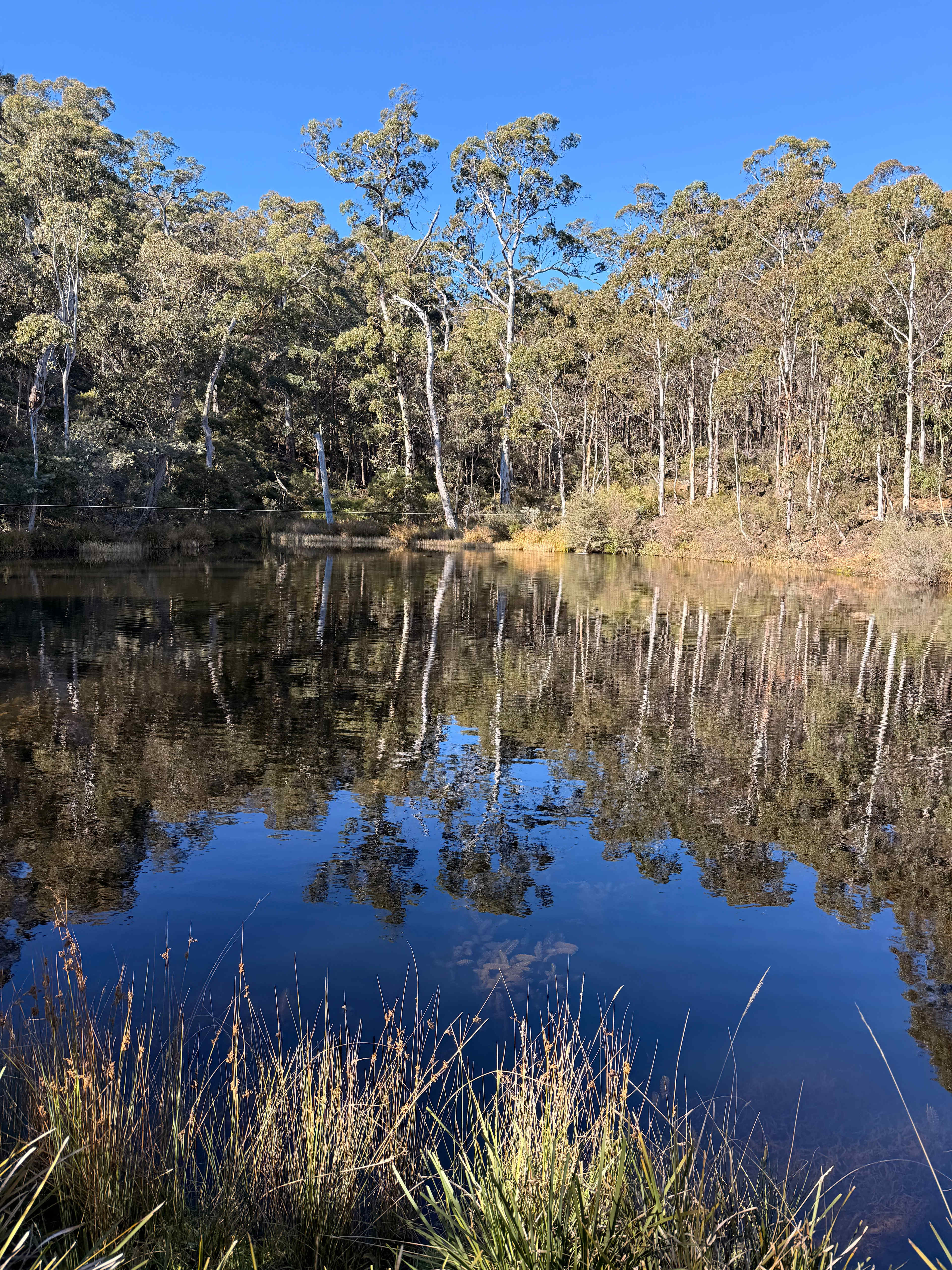 Spring Valley Lifestyle Retreat