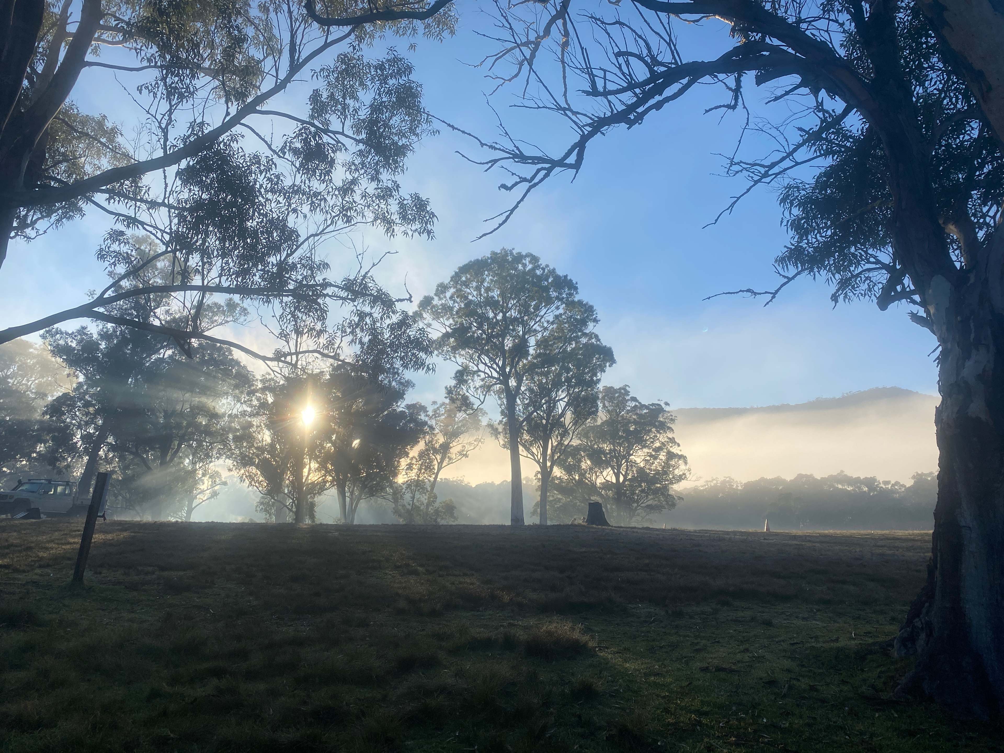 Megalong Valley Farm