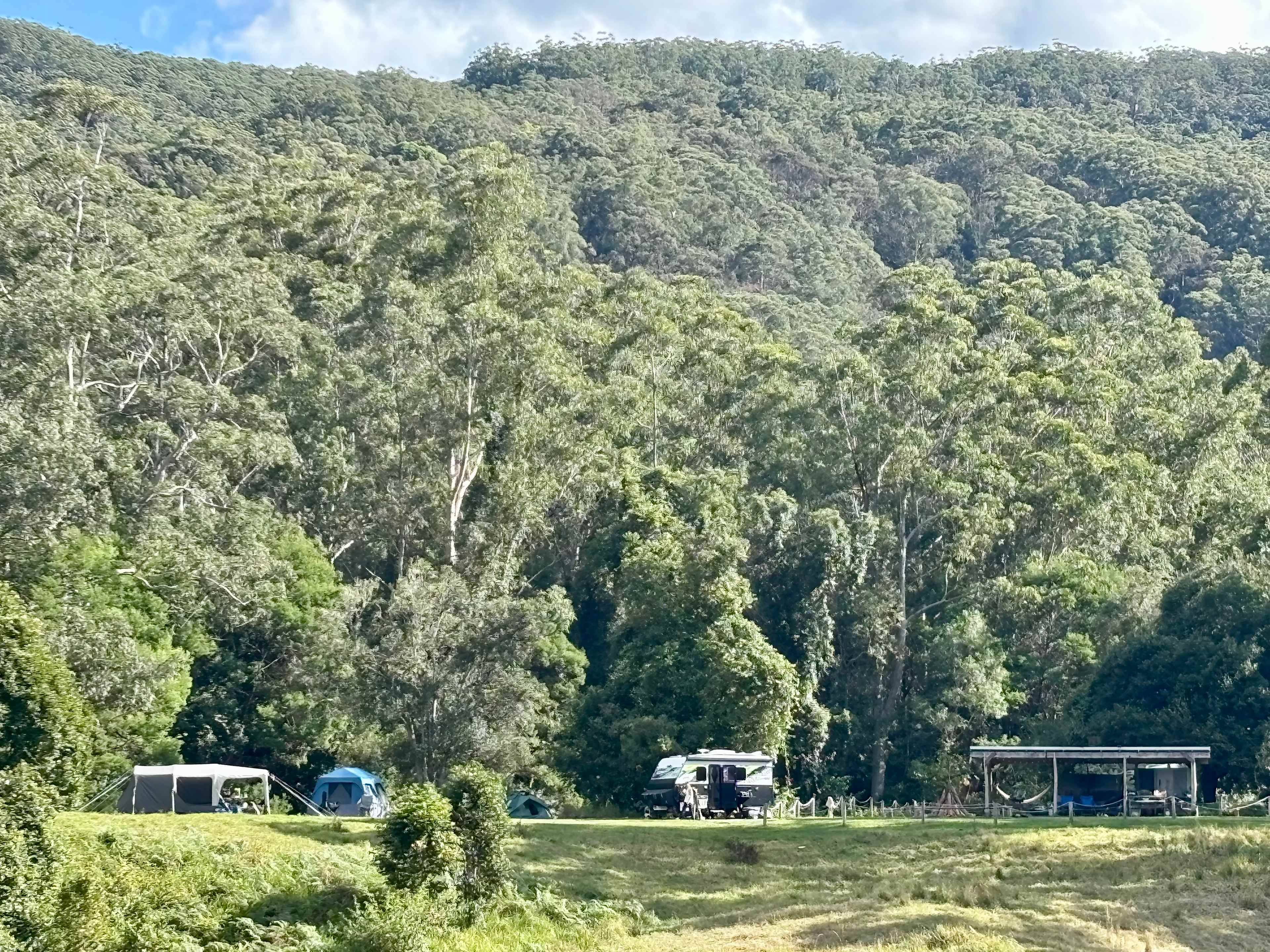 Wombat Flats Campsite: Martinsville