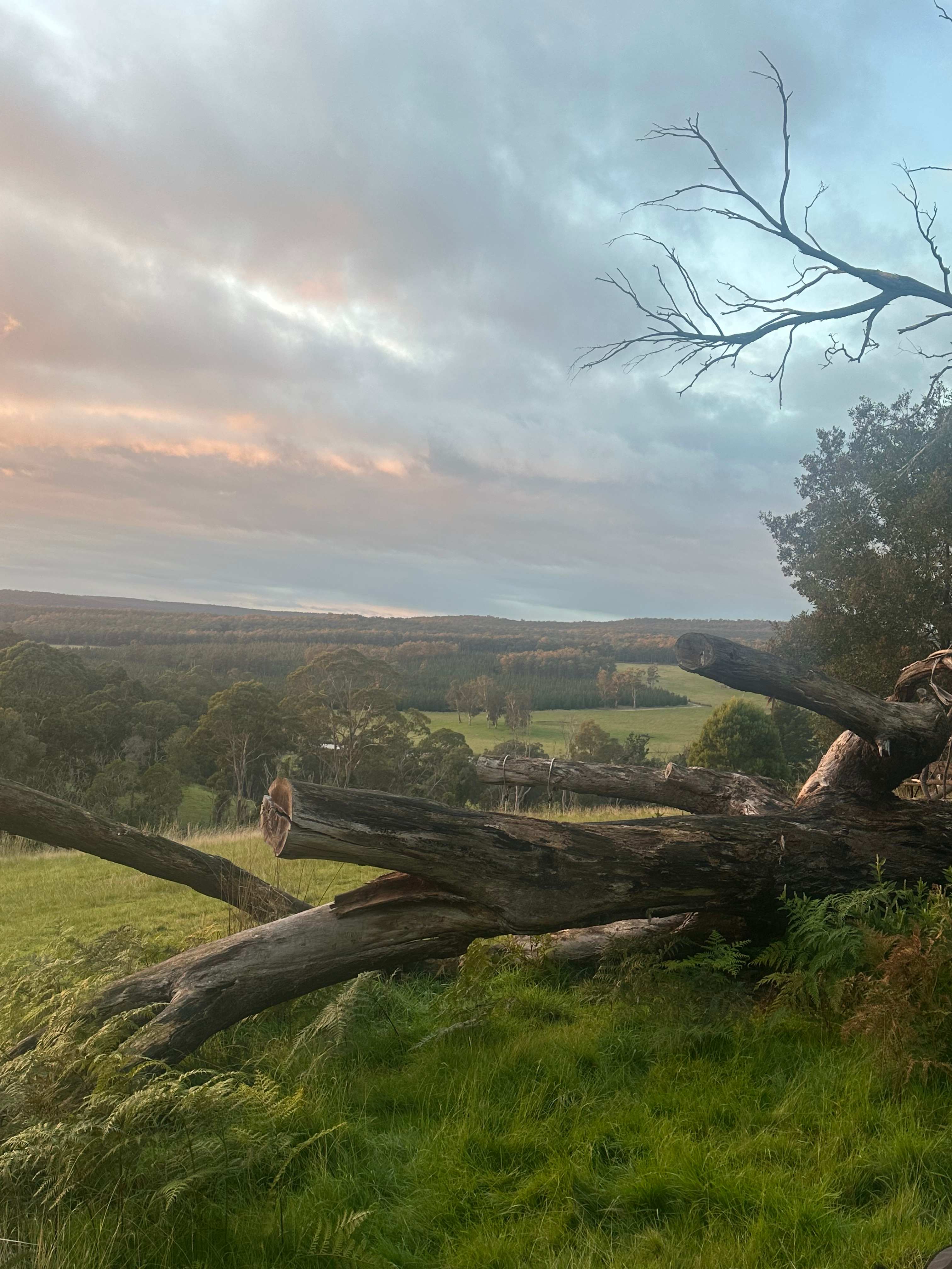 Kookaburra Ridge Farm Camp
