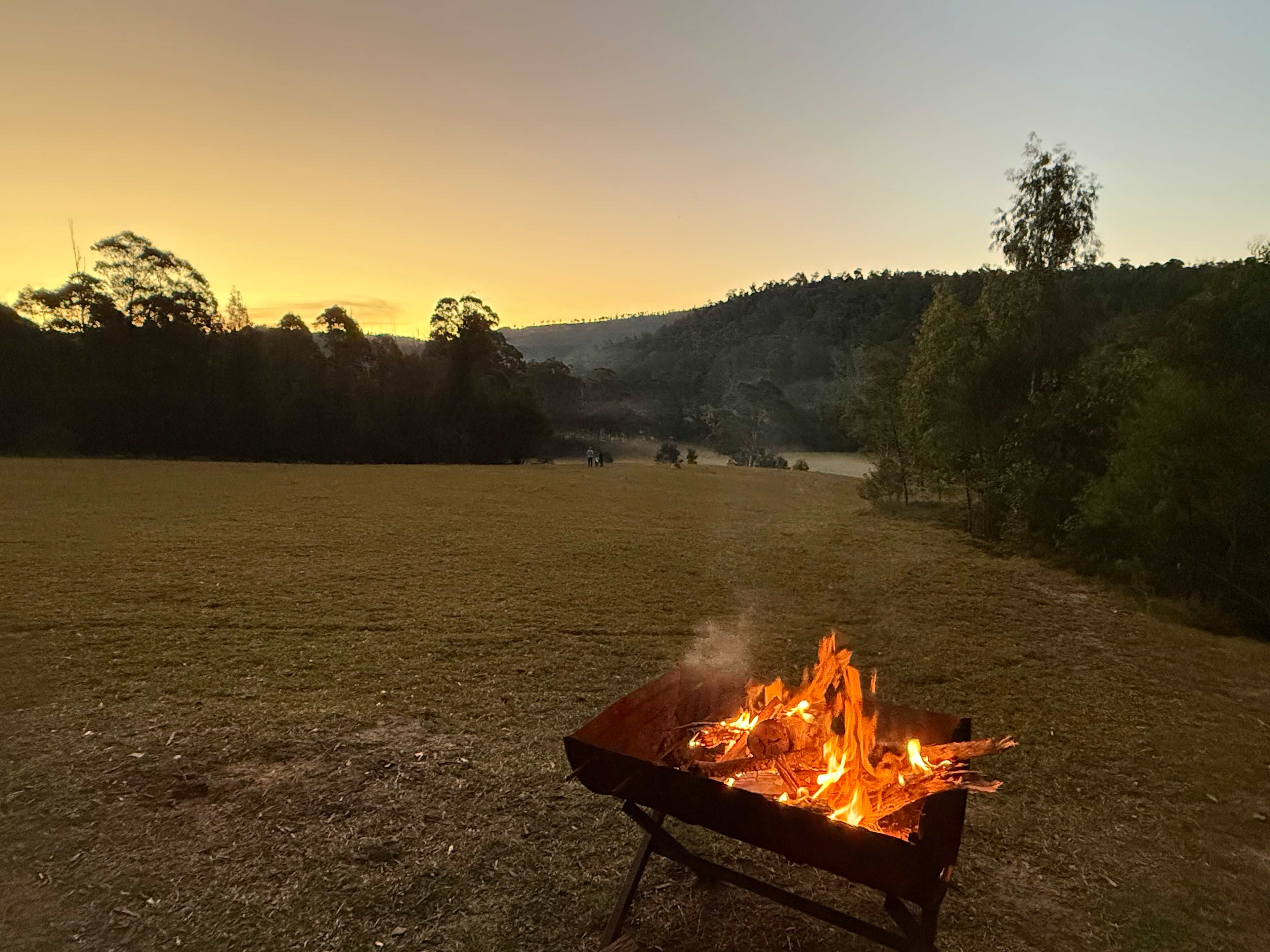 Wombat Hollow