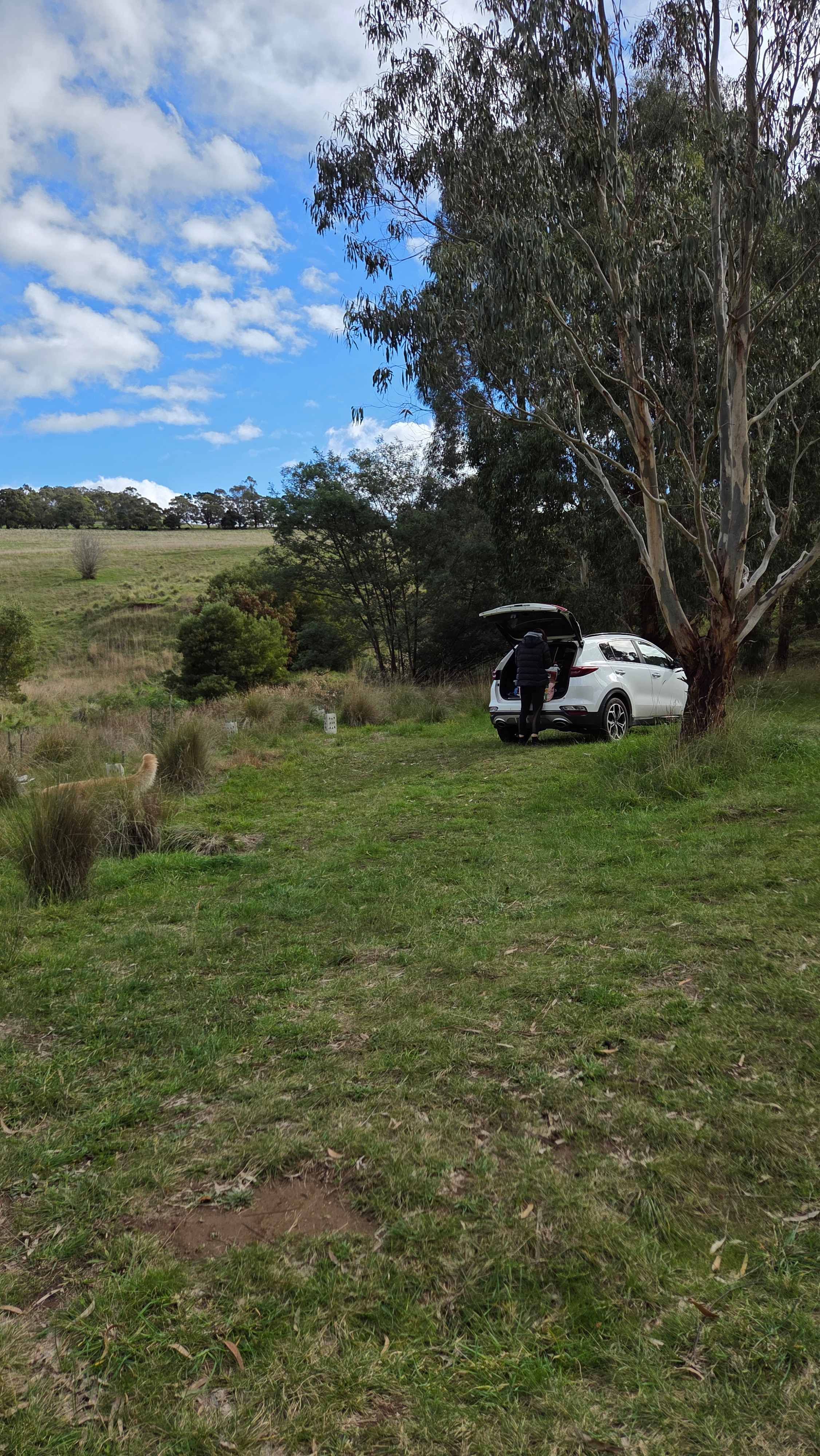 Picture of the site