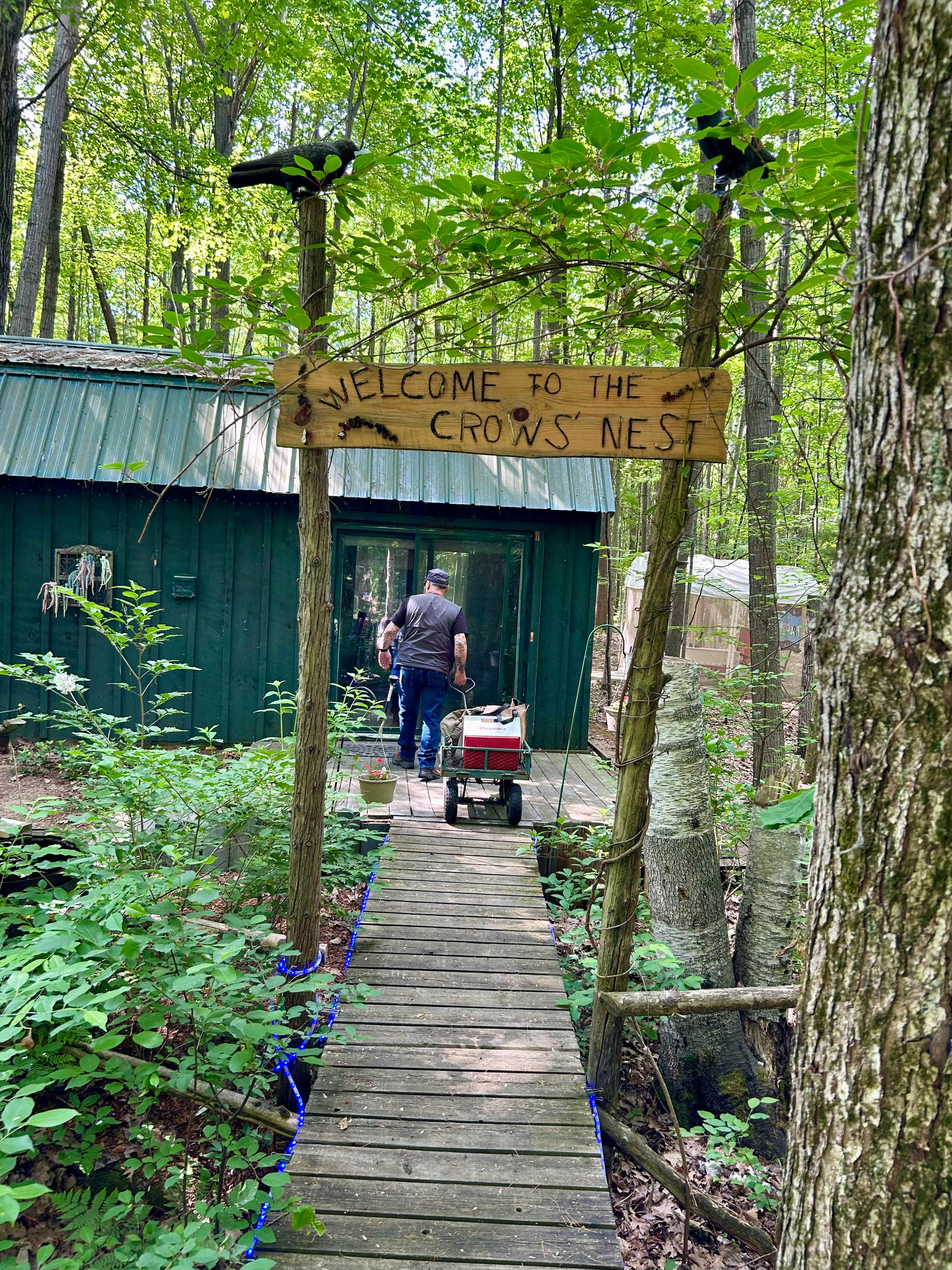 The Crow’s Nest Forest Camp