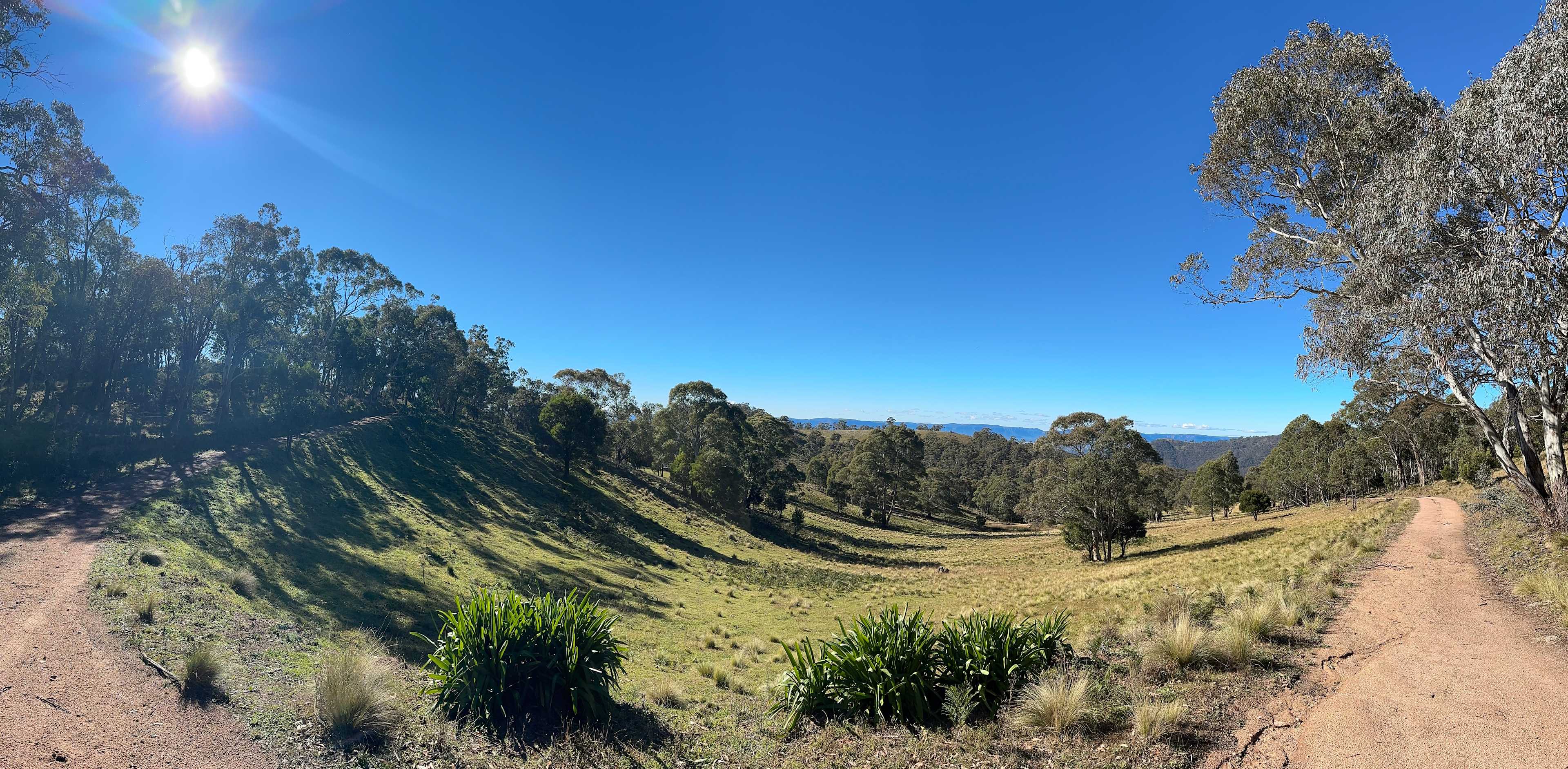 Aurora-Exclusive Blue Mountains