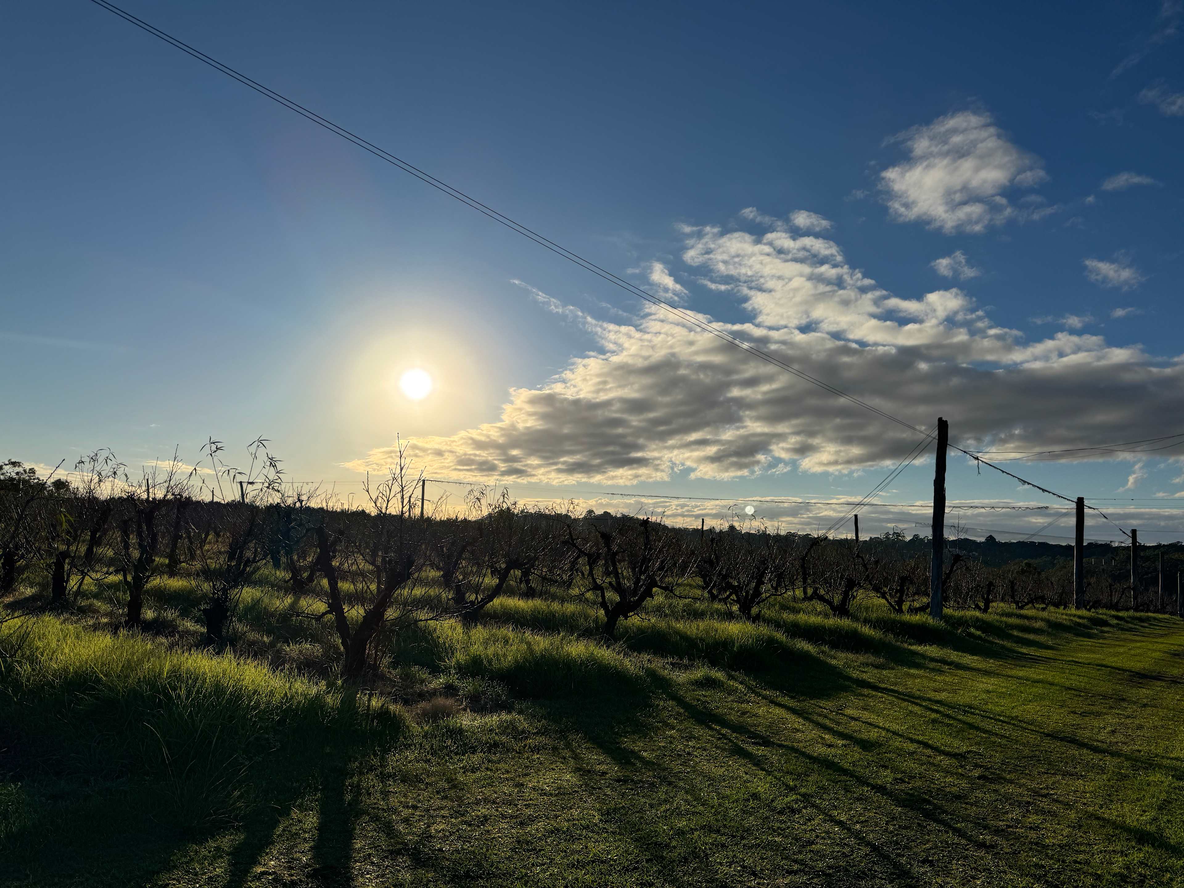 Canoelands Orchard Camping