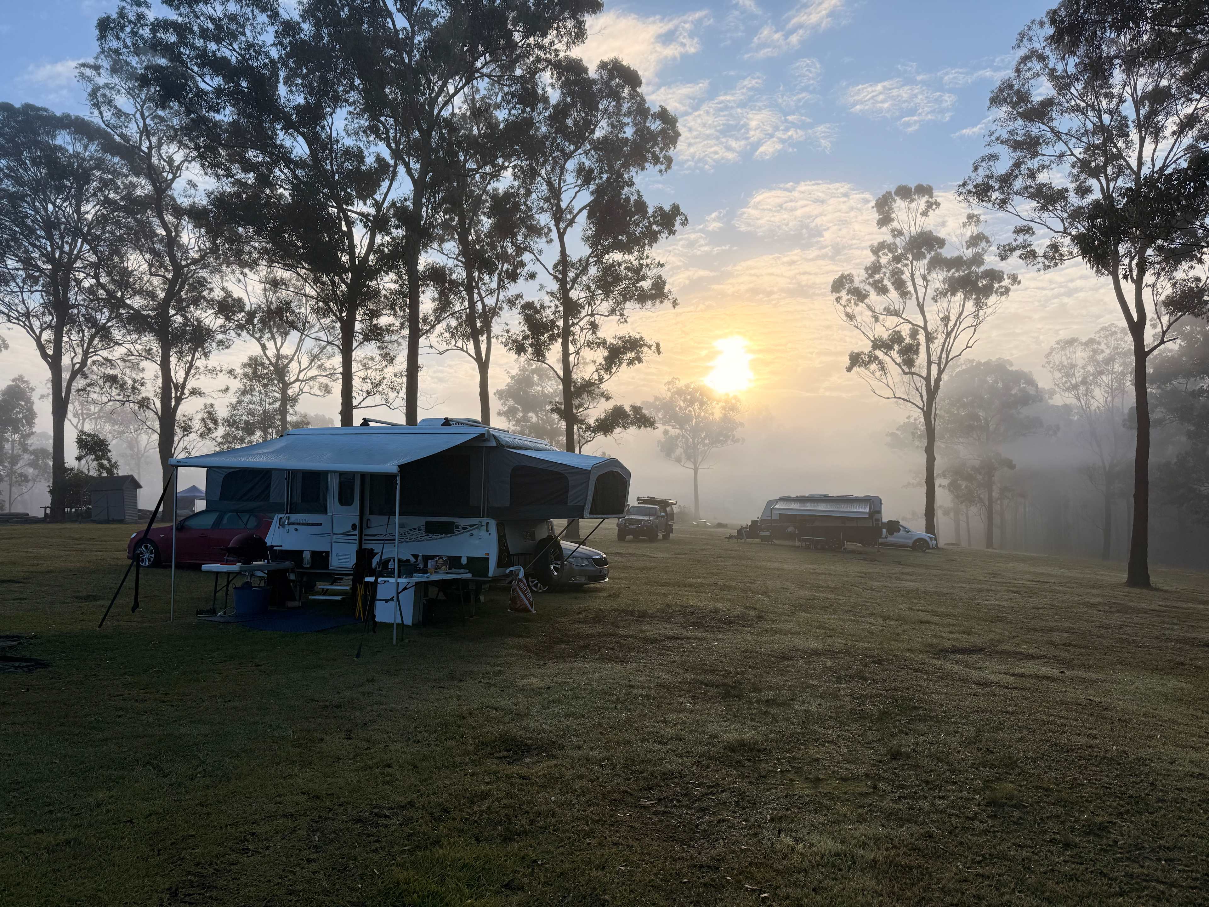 Wallaby Haven