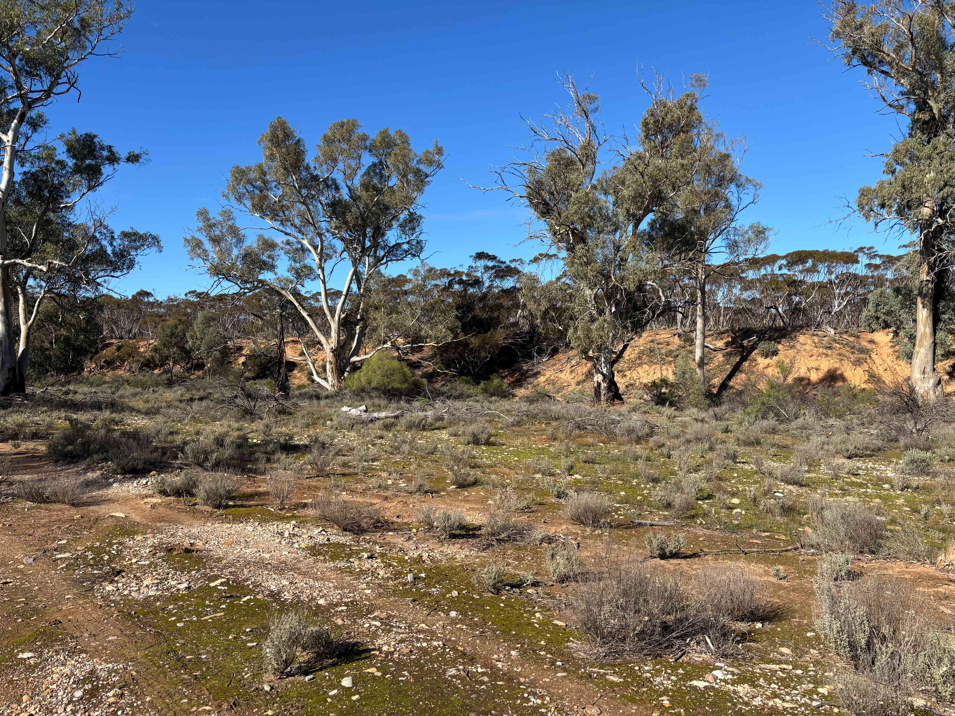Burra Creek Camping