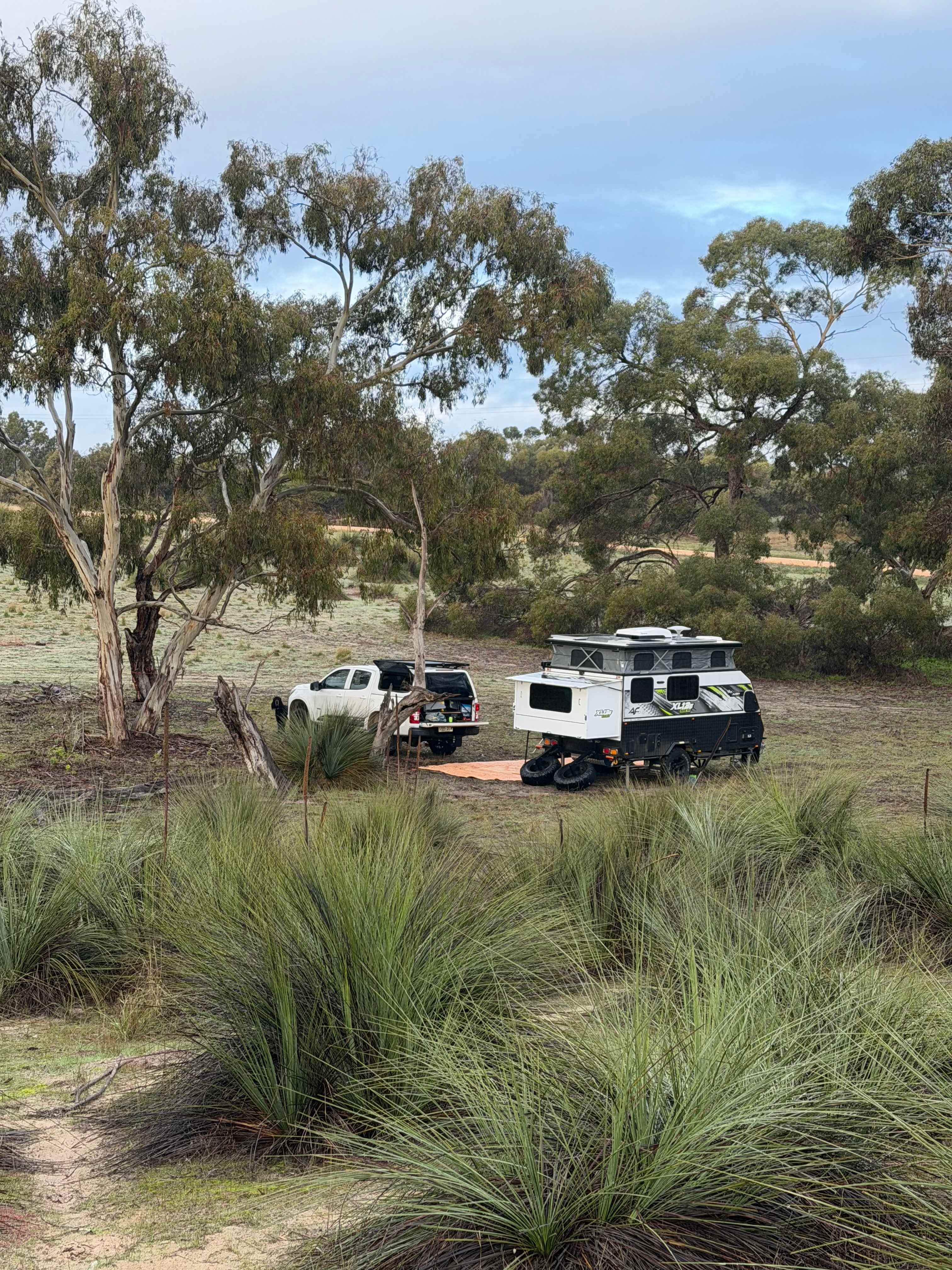 Picture of the site