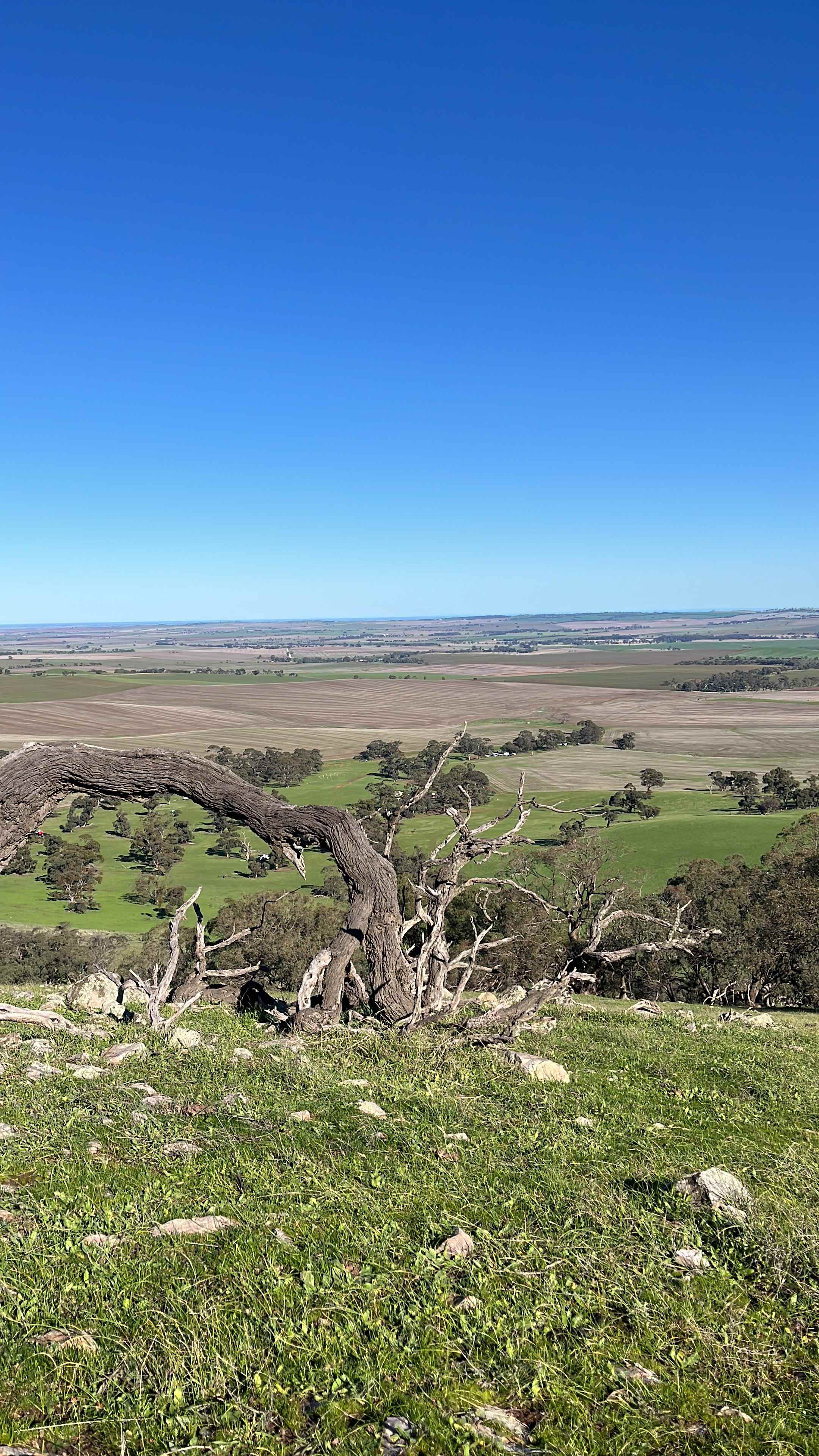Edgehill Farm Stays Riverton