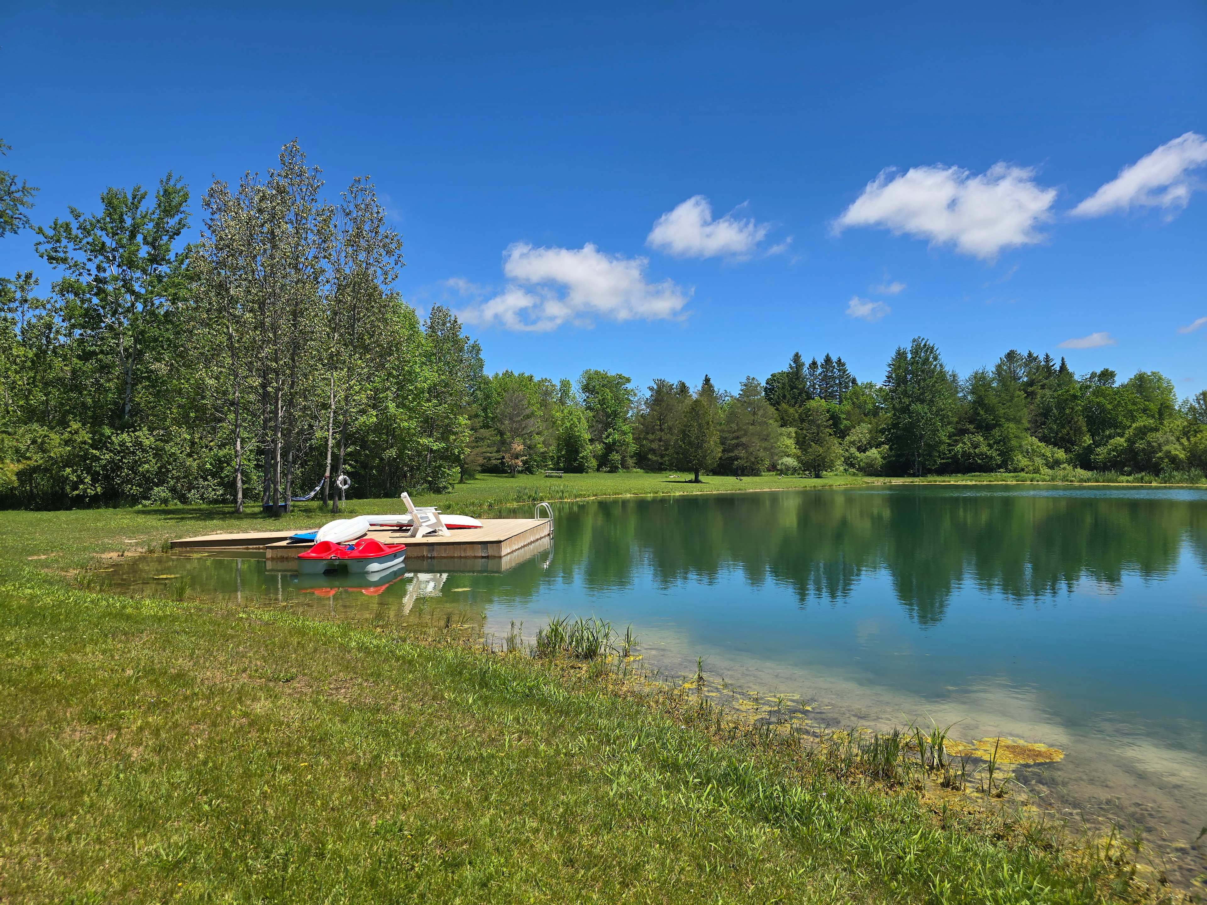 On the pond