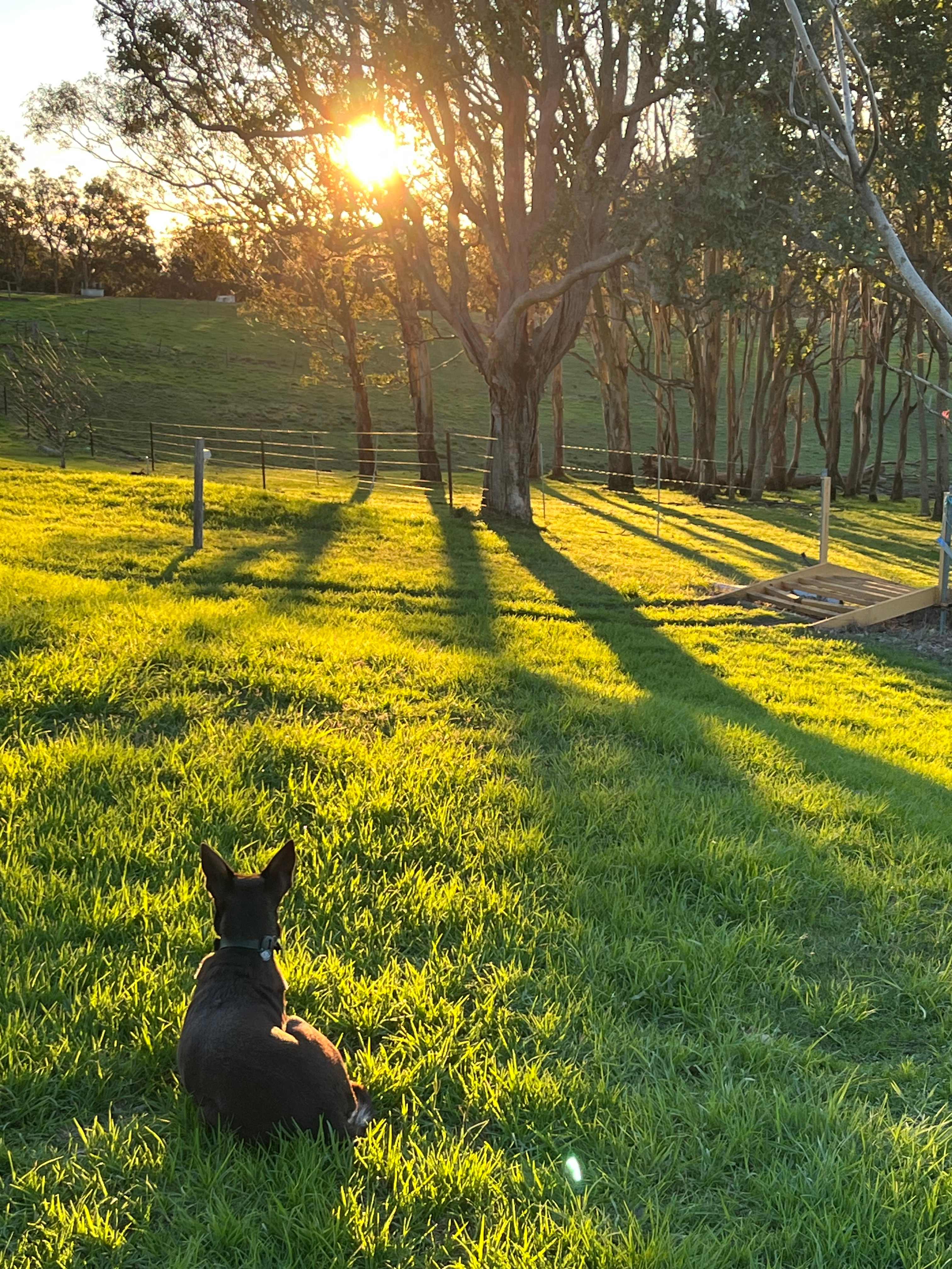 Mia is watching sunset