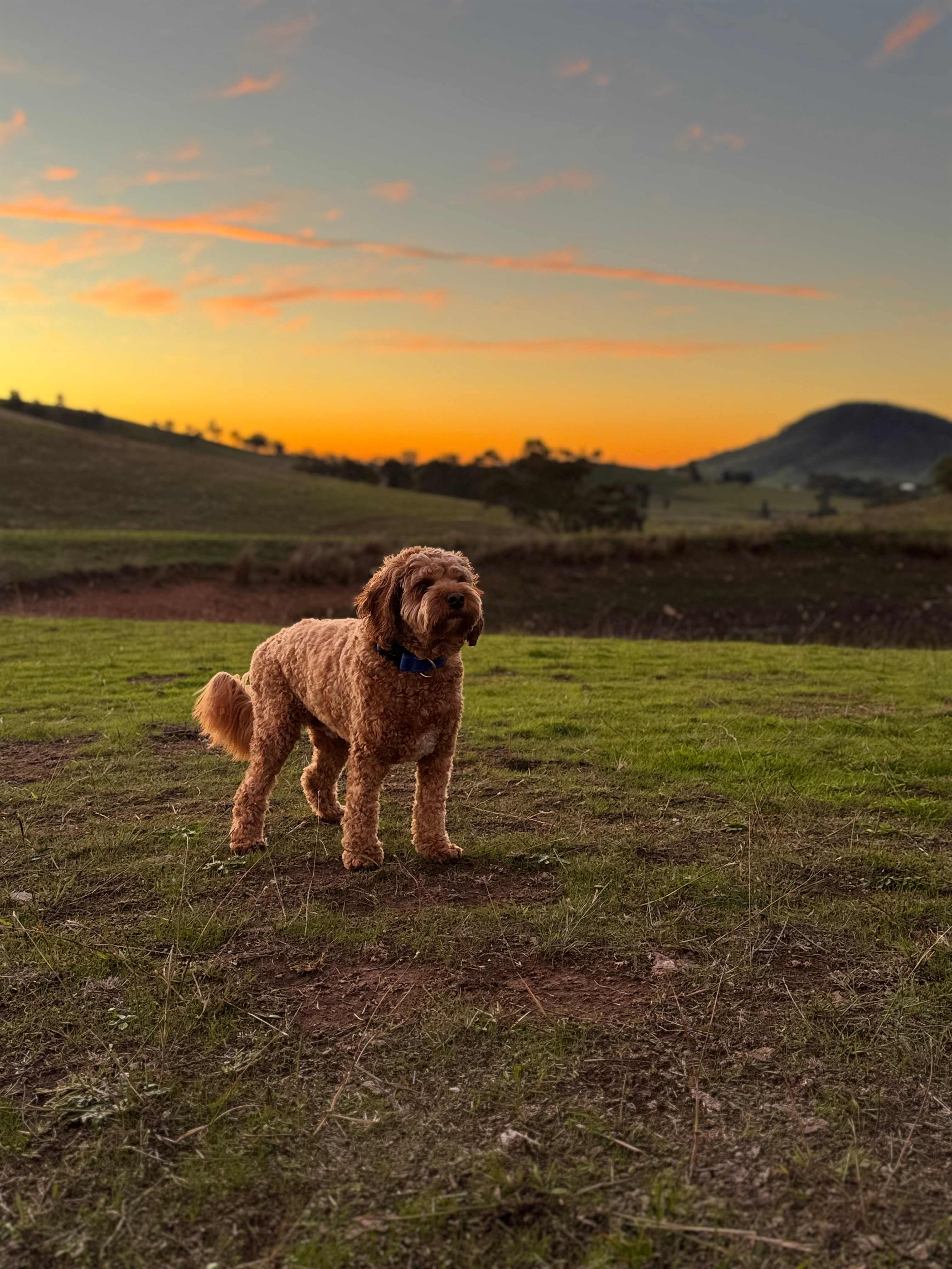 Hillsdale Farm Mudgee - 4WD Access