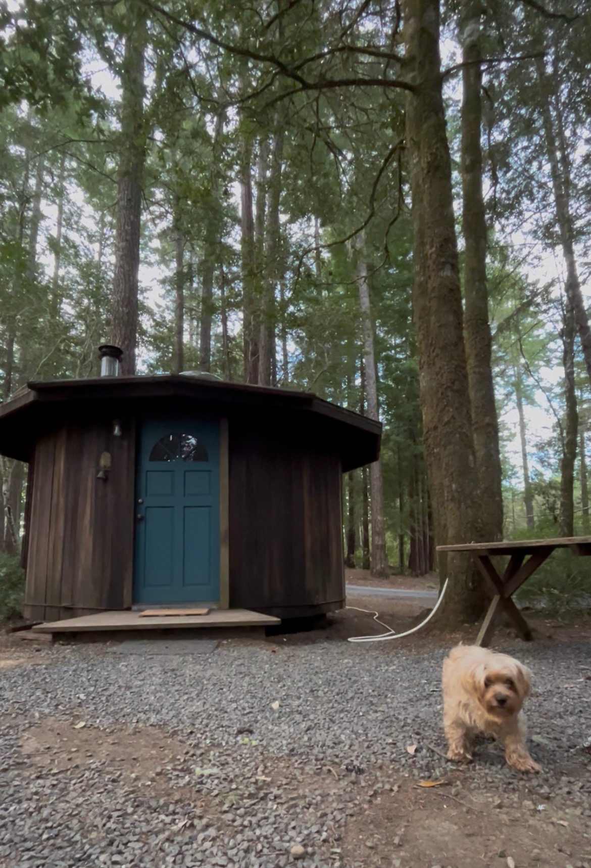 Pickle Barrel Cabin and Camp