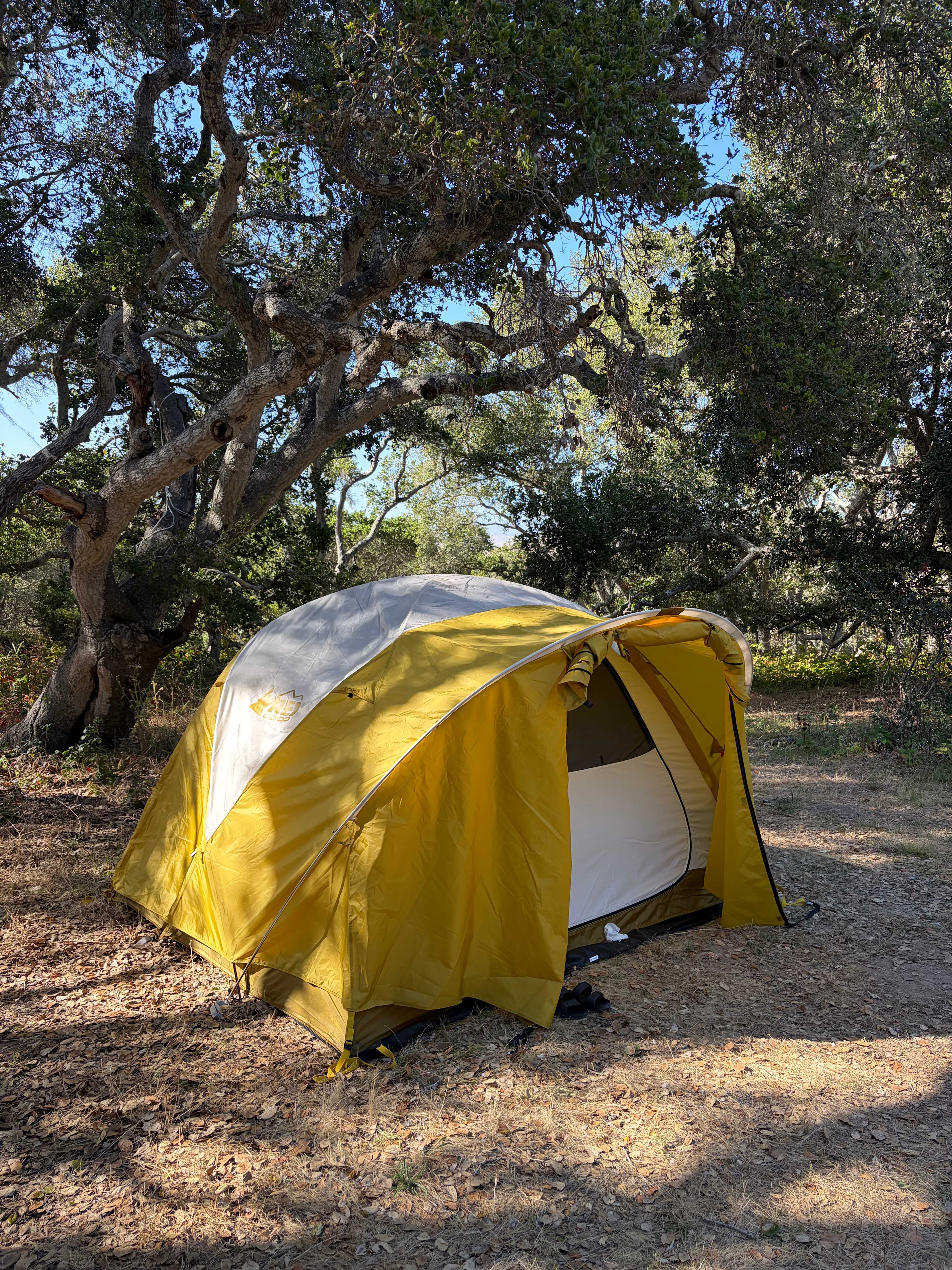 Camp WagMore