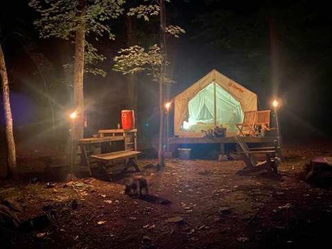 Luxury Camping at 'Higher Ground'