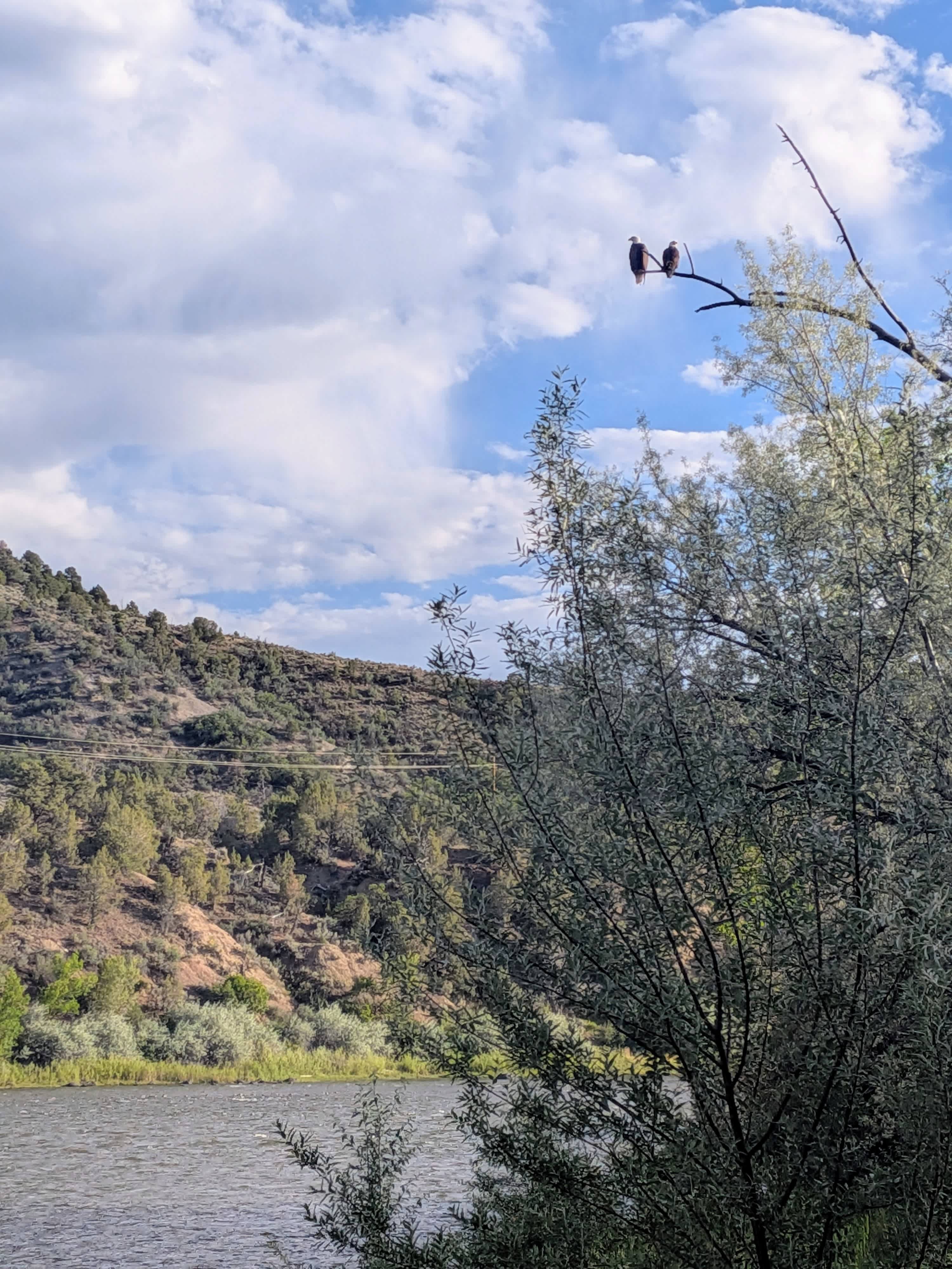Colorado River Camp Has It All!