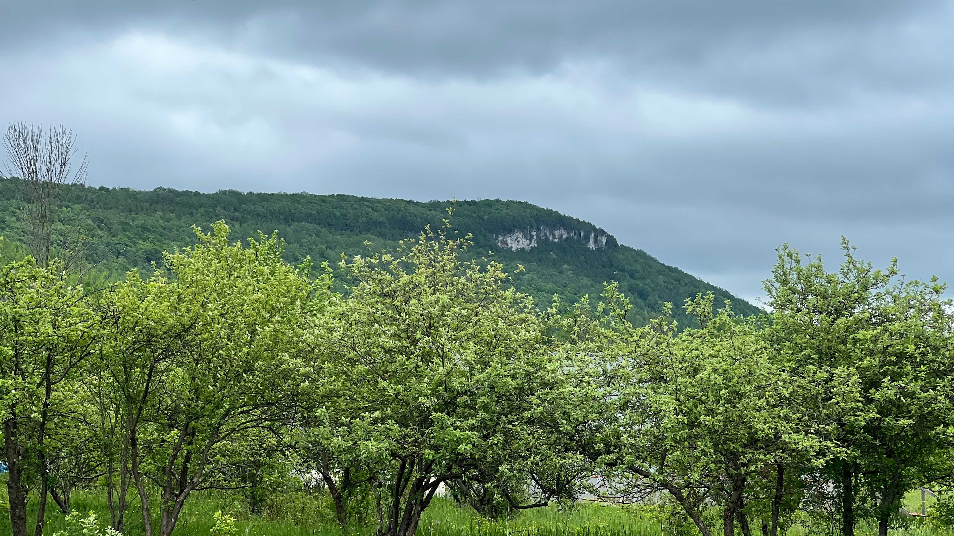 Old Baldy from the walk in