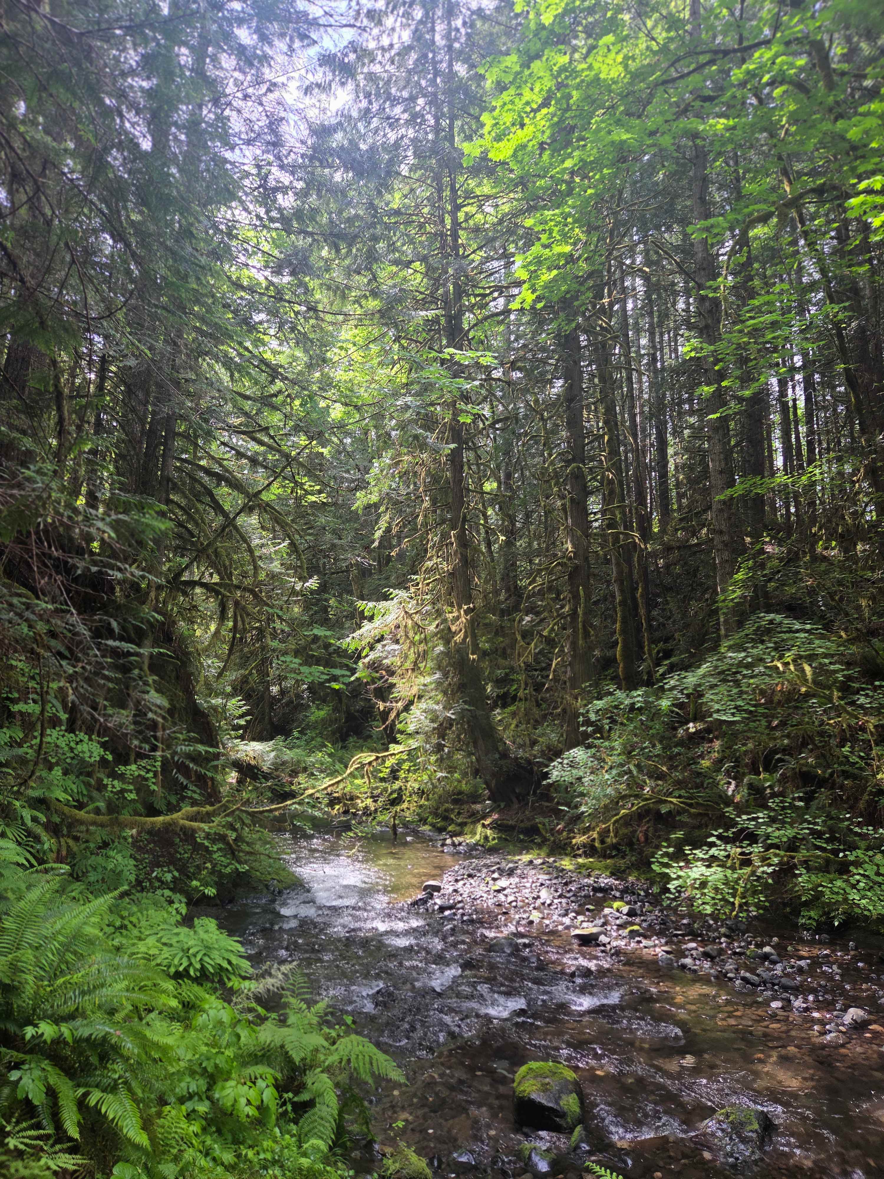Little River Hideaway