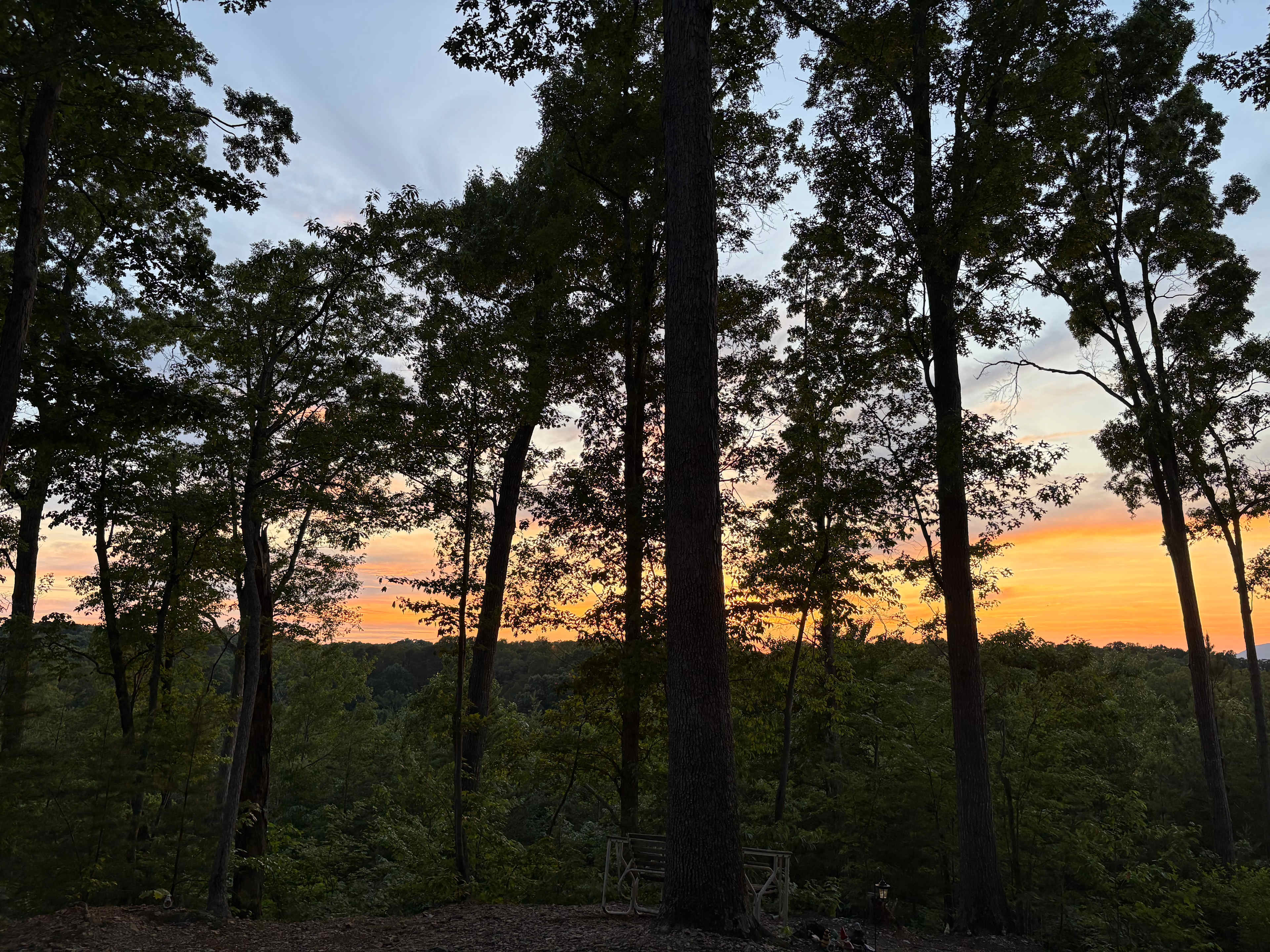 The Rocky Knoll