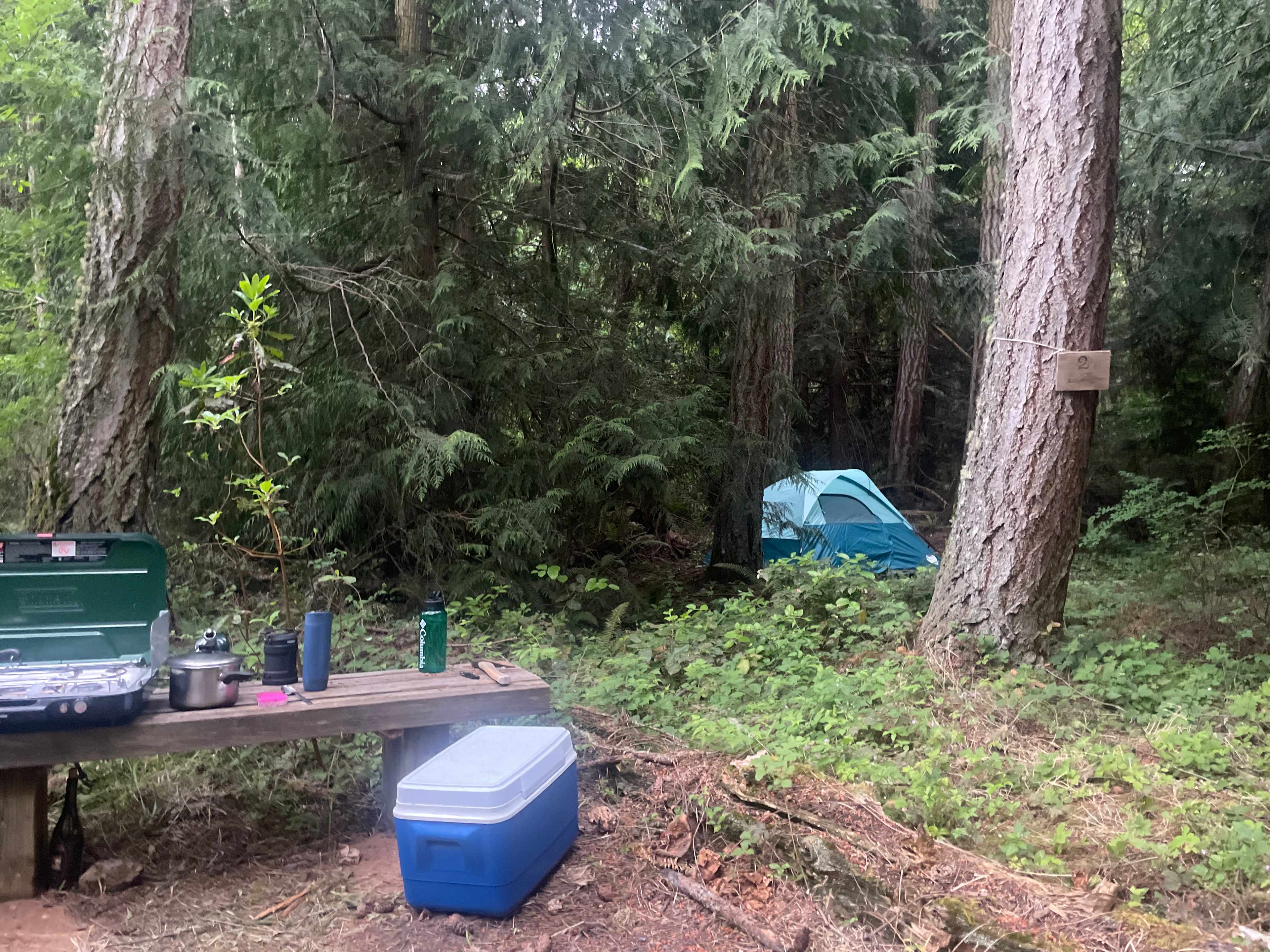 Camping at Three Peas Farm