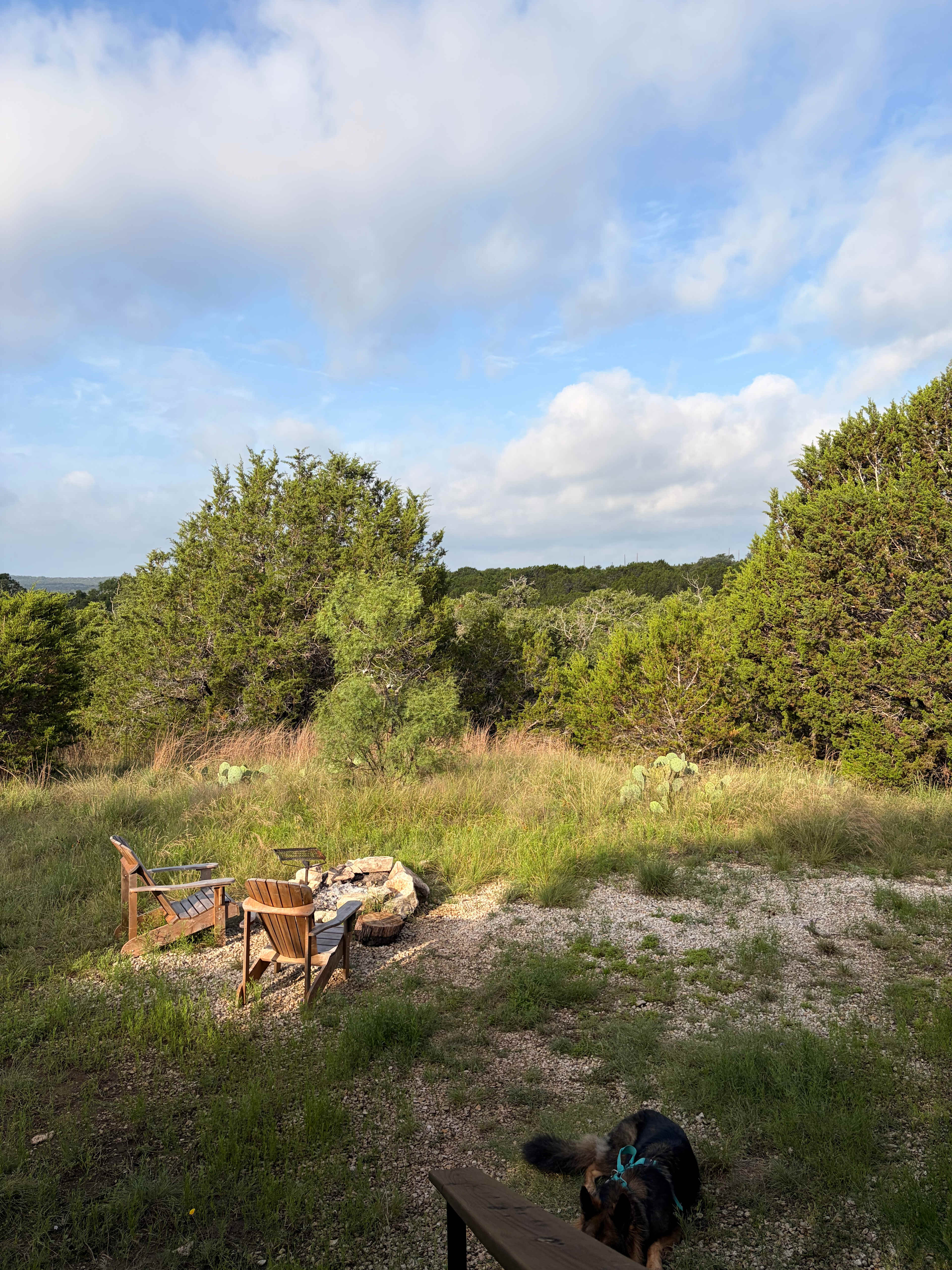 Hill Country Glamping Photo Safari