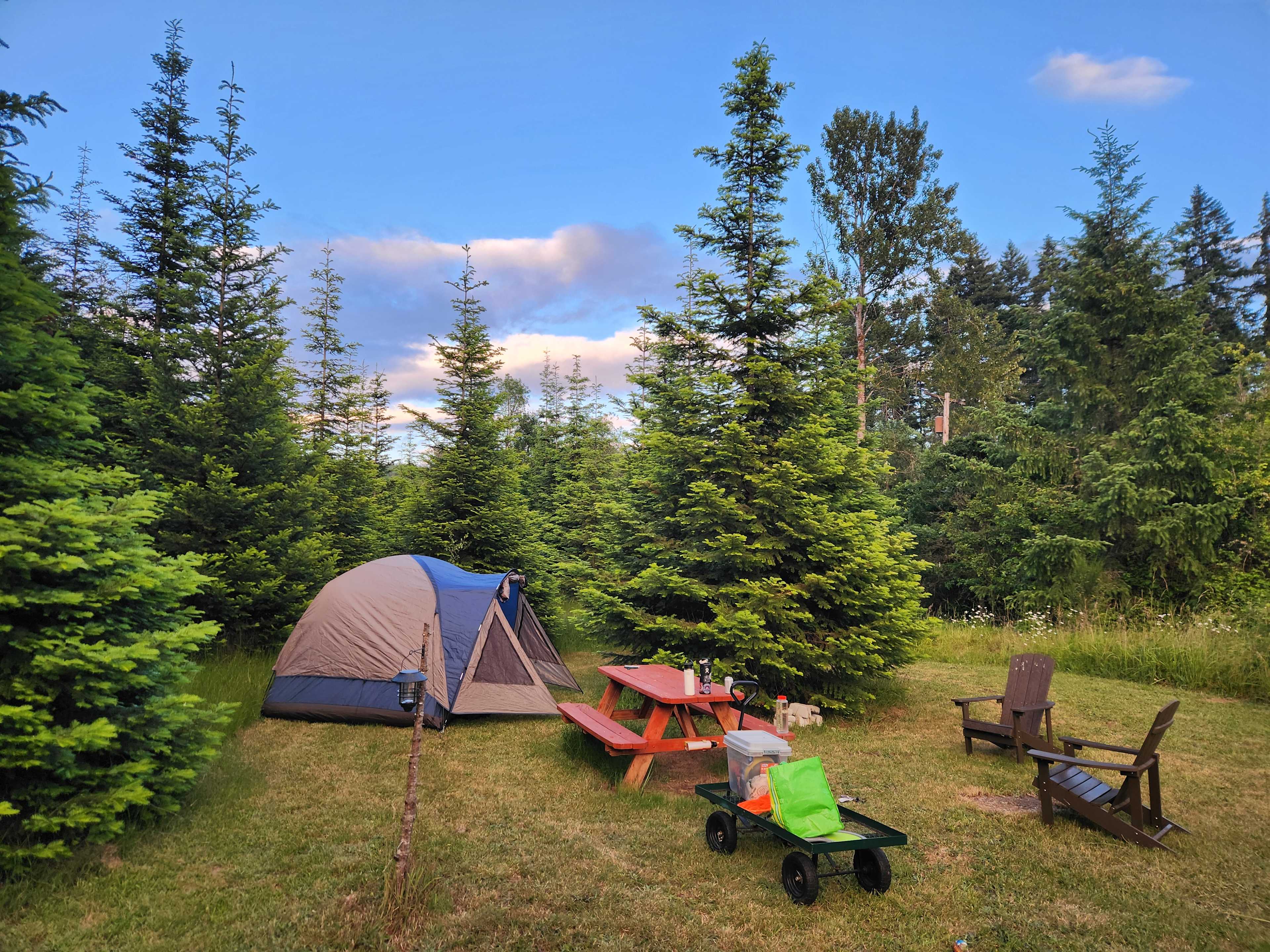 Meadowview Campsite