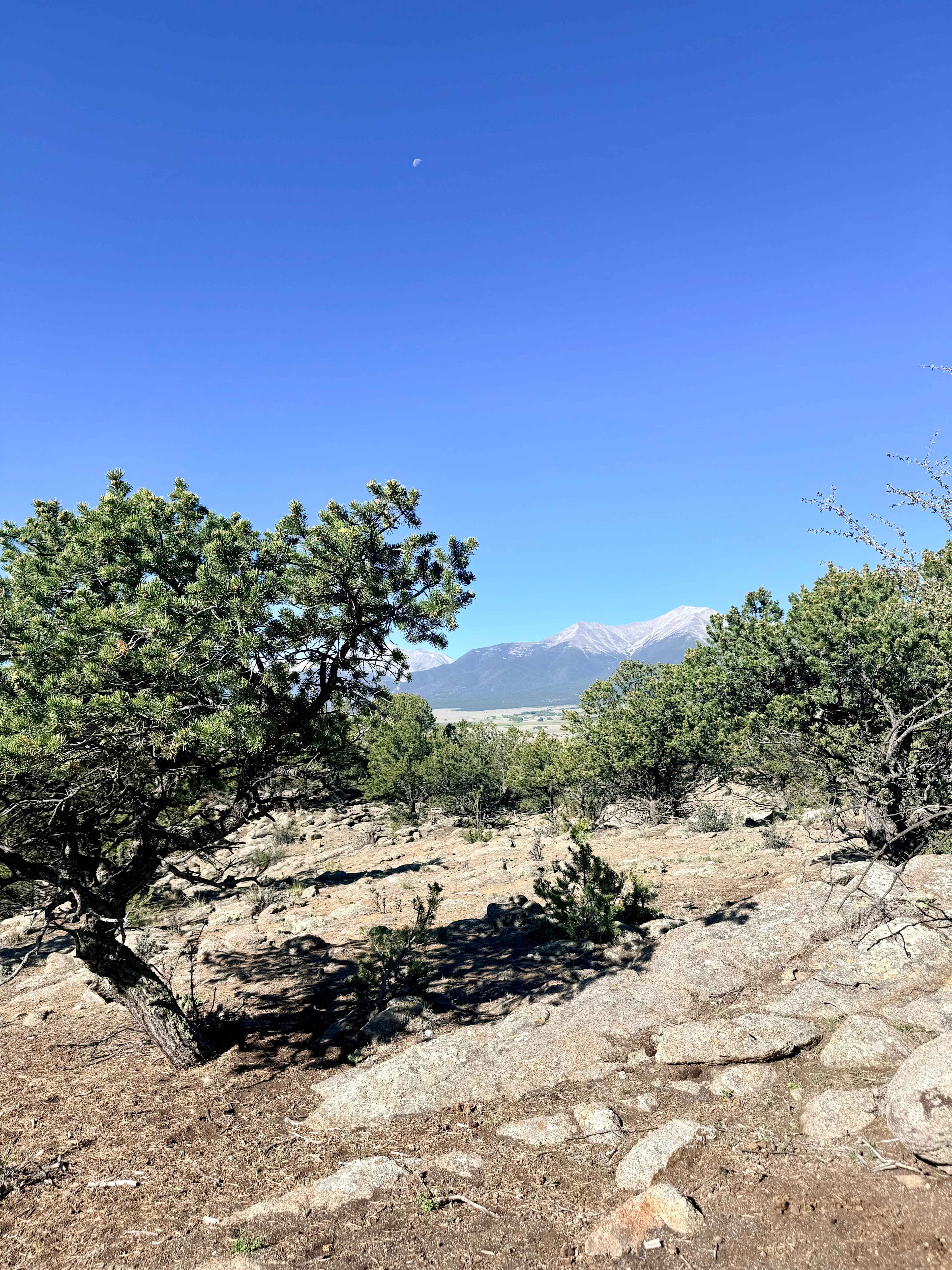 Shanahan Goat Ranch