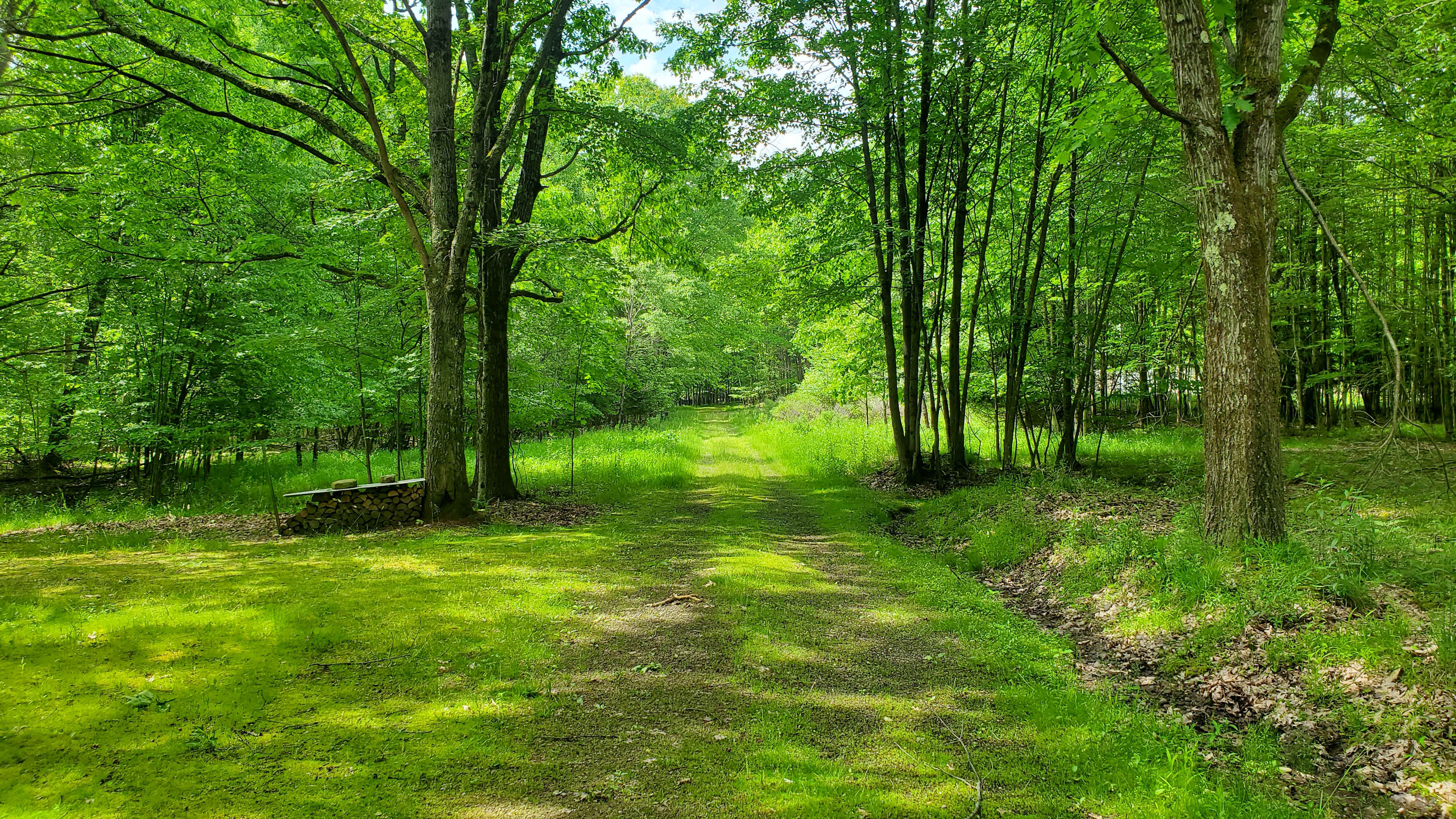 Chappel Hill Tree Farm