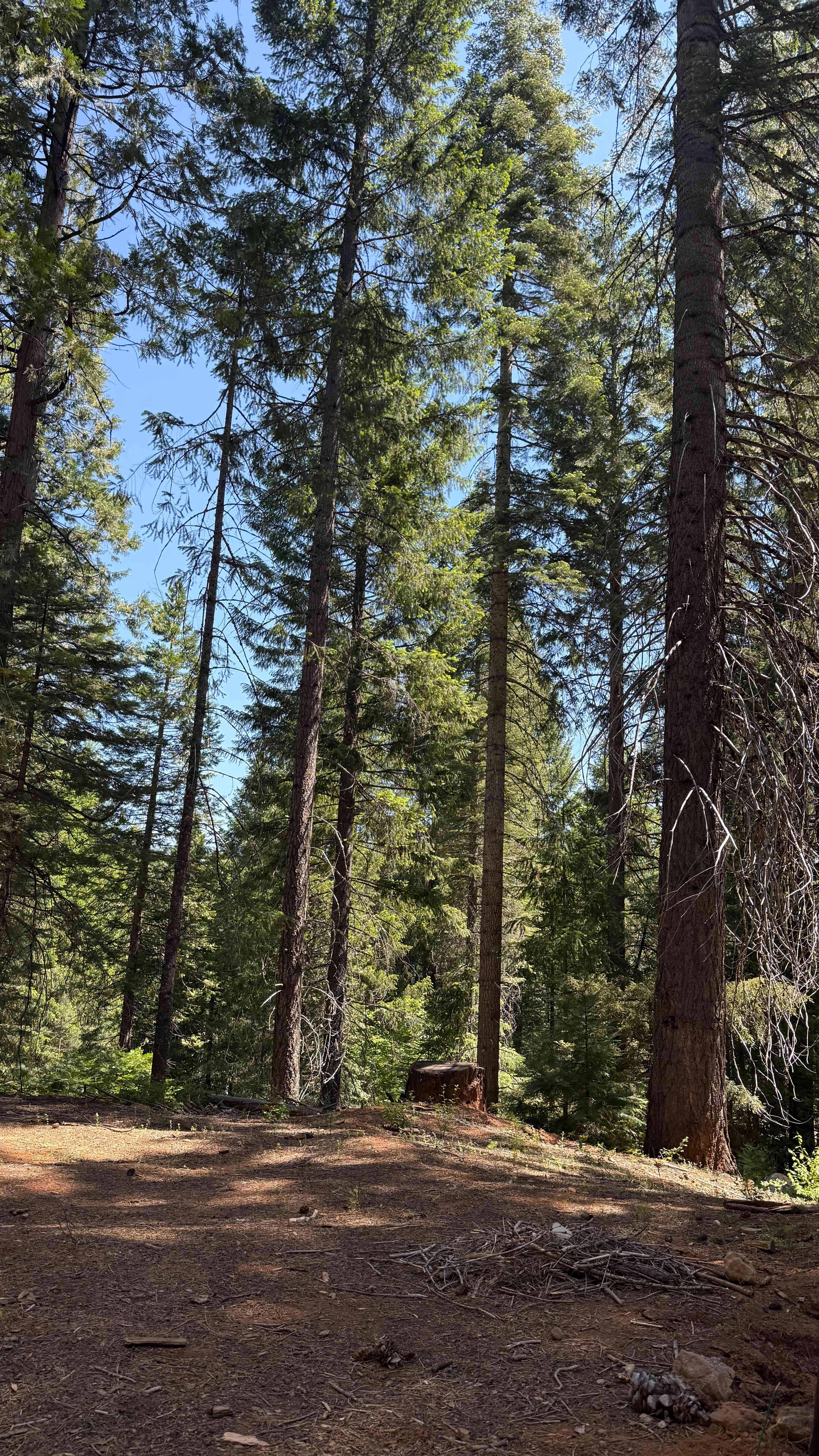 Sugar Pine Springs Resort