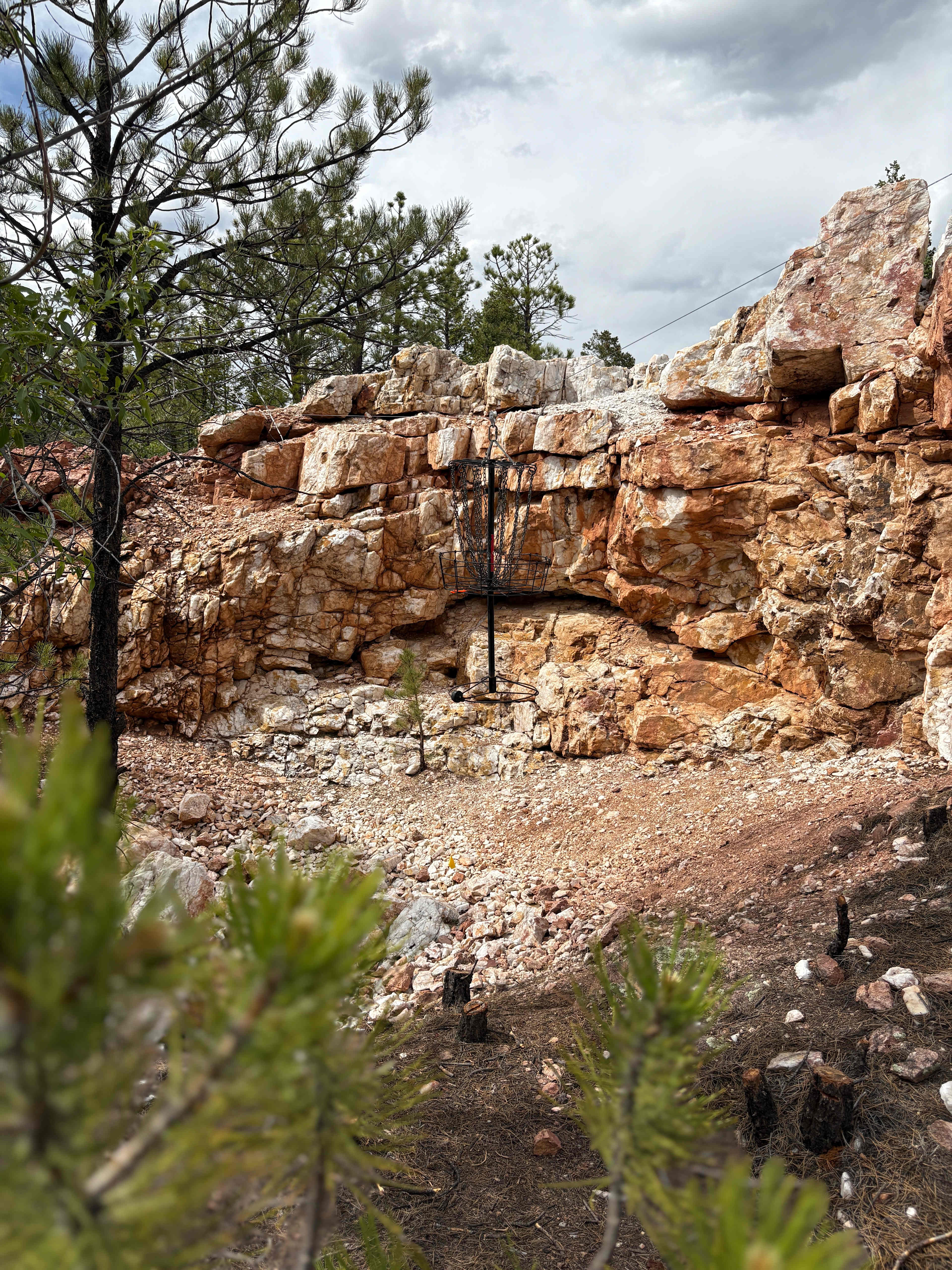 Disc Golf Course