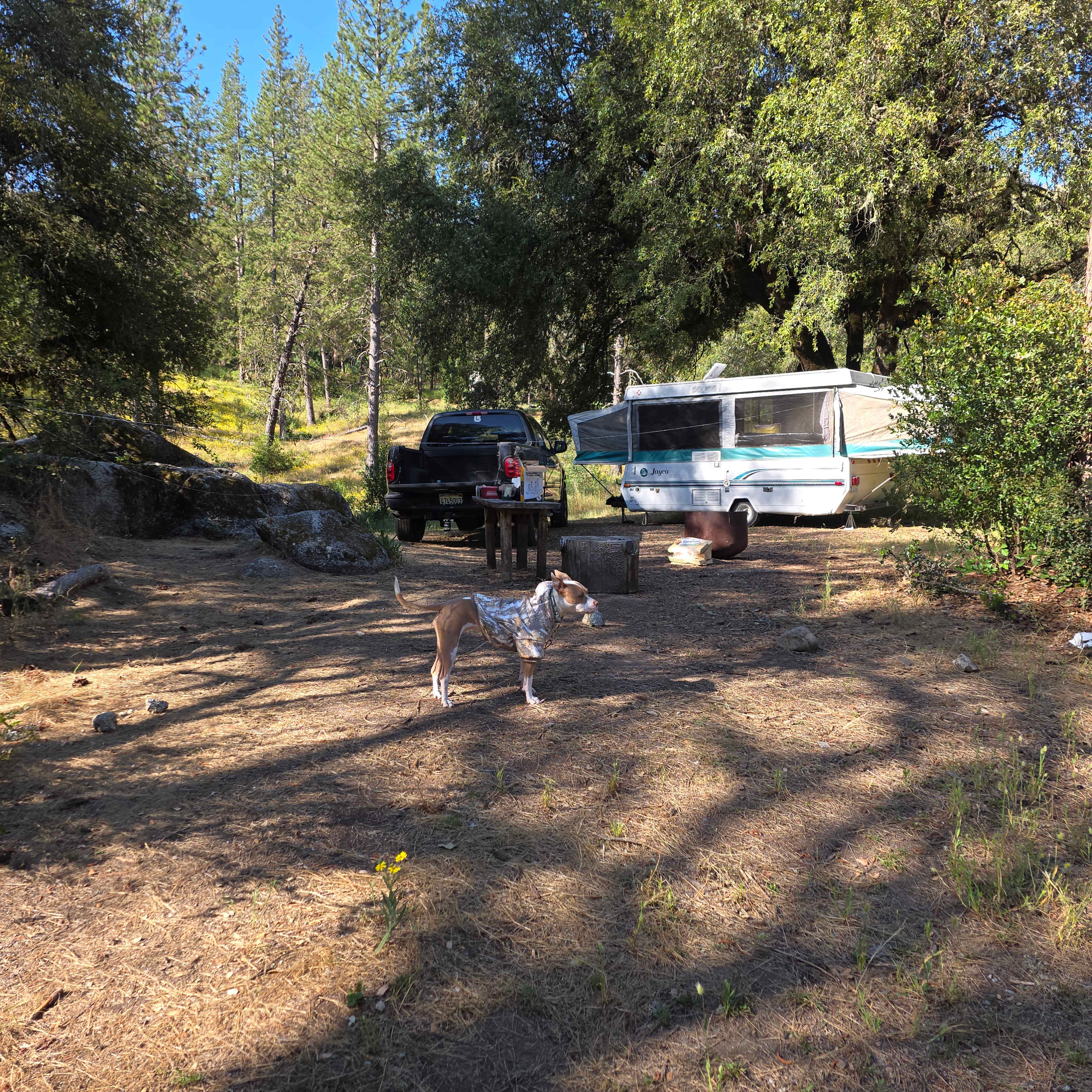 Site 3