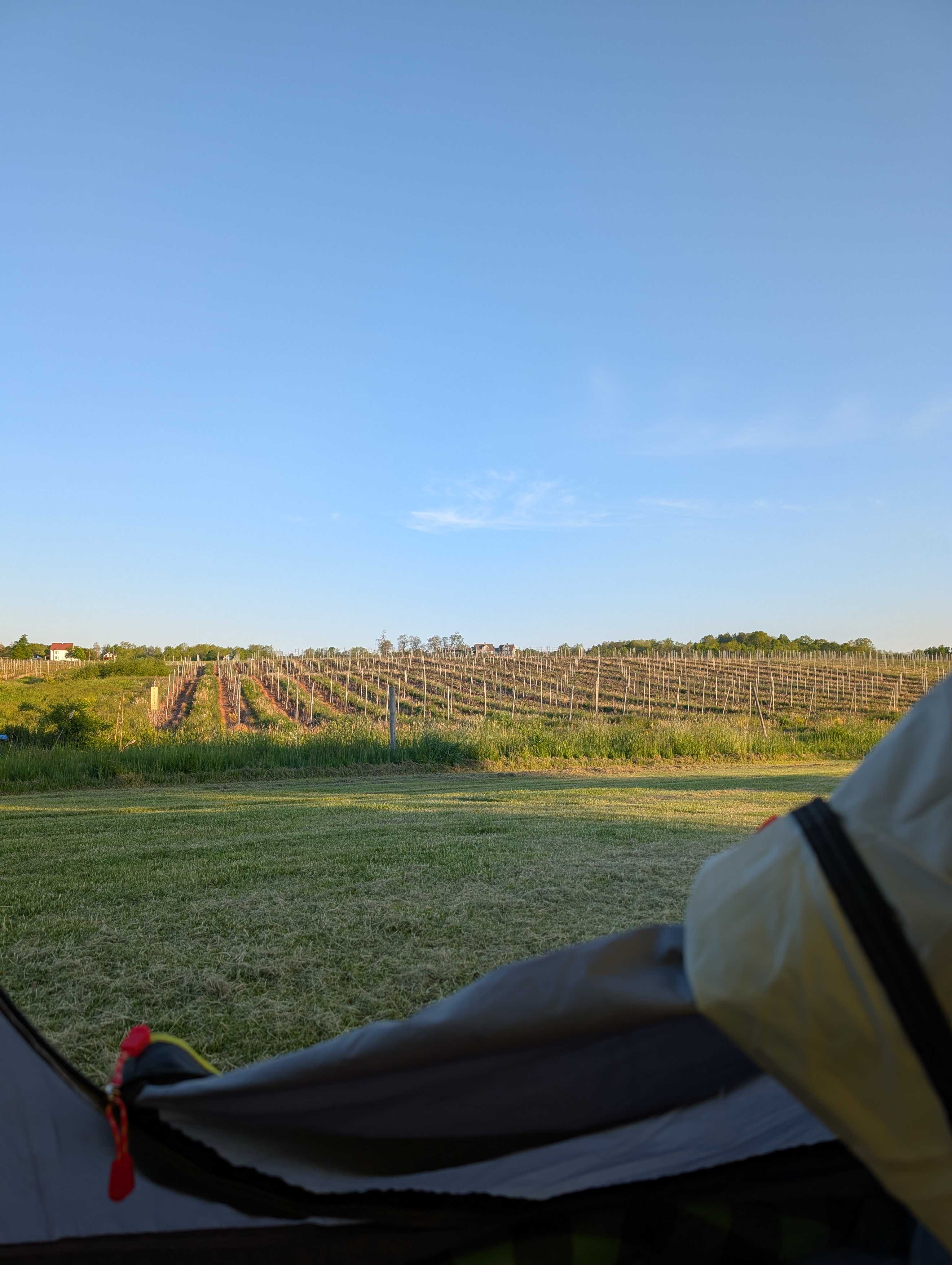 Mumana Vineyards