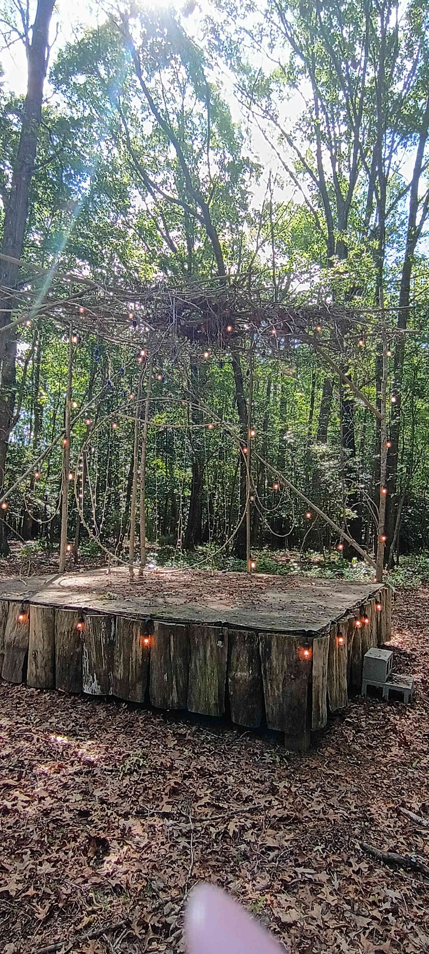 Shine & Rise Magic Food Forest