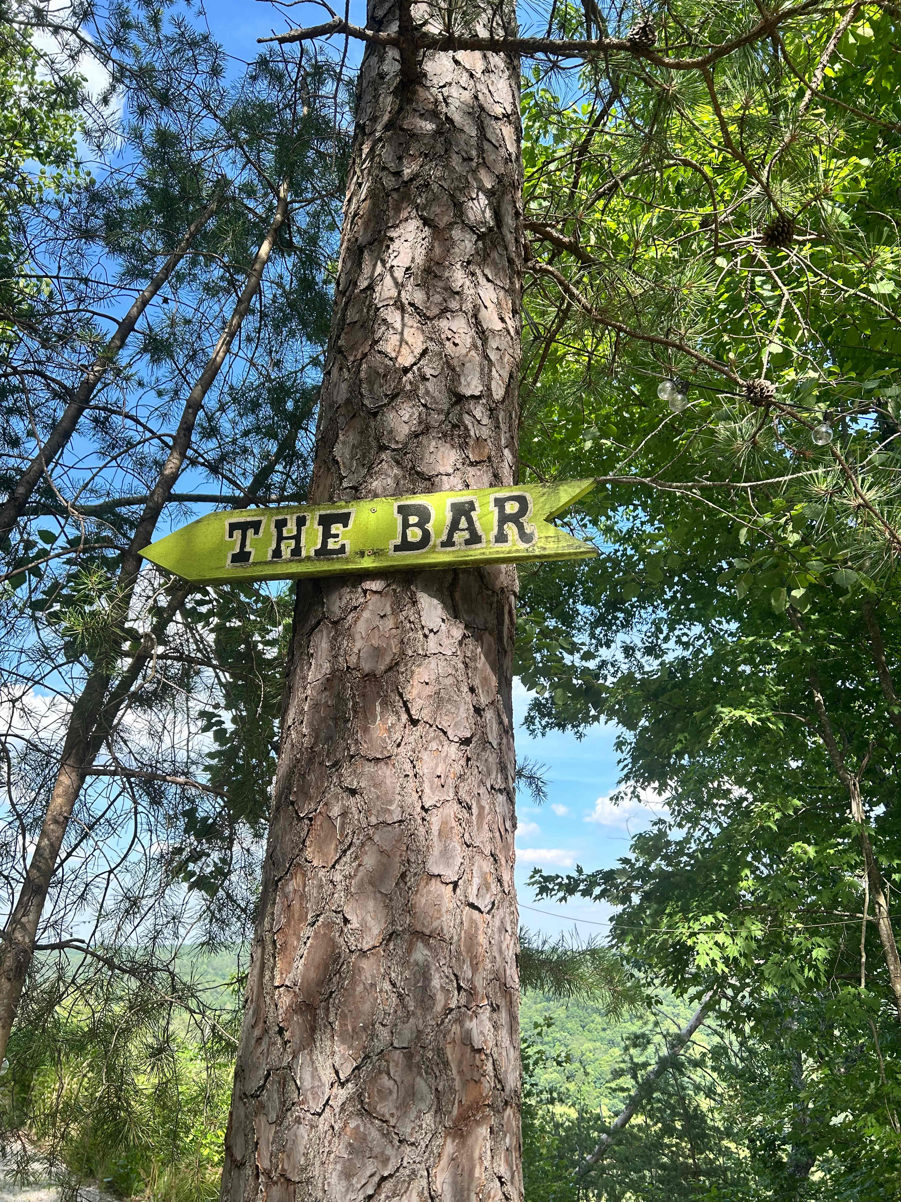 Bar on the Mountain