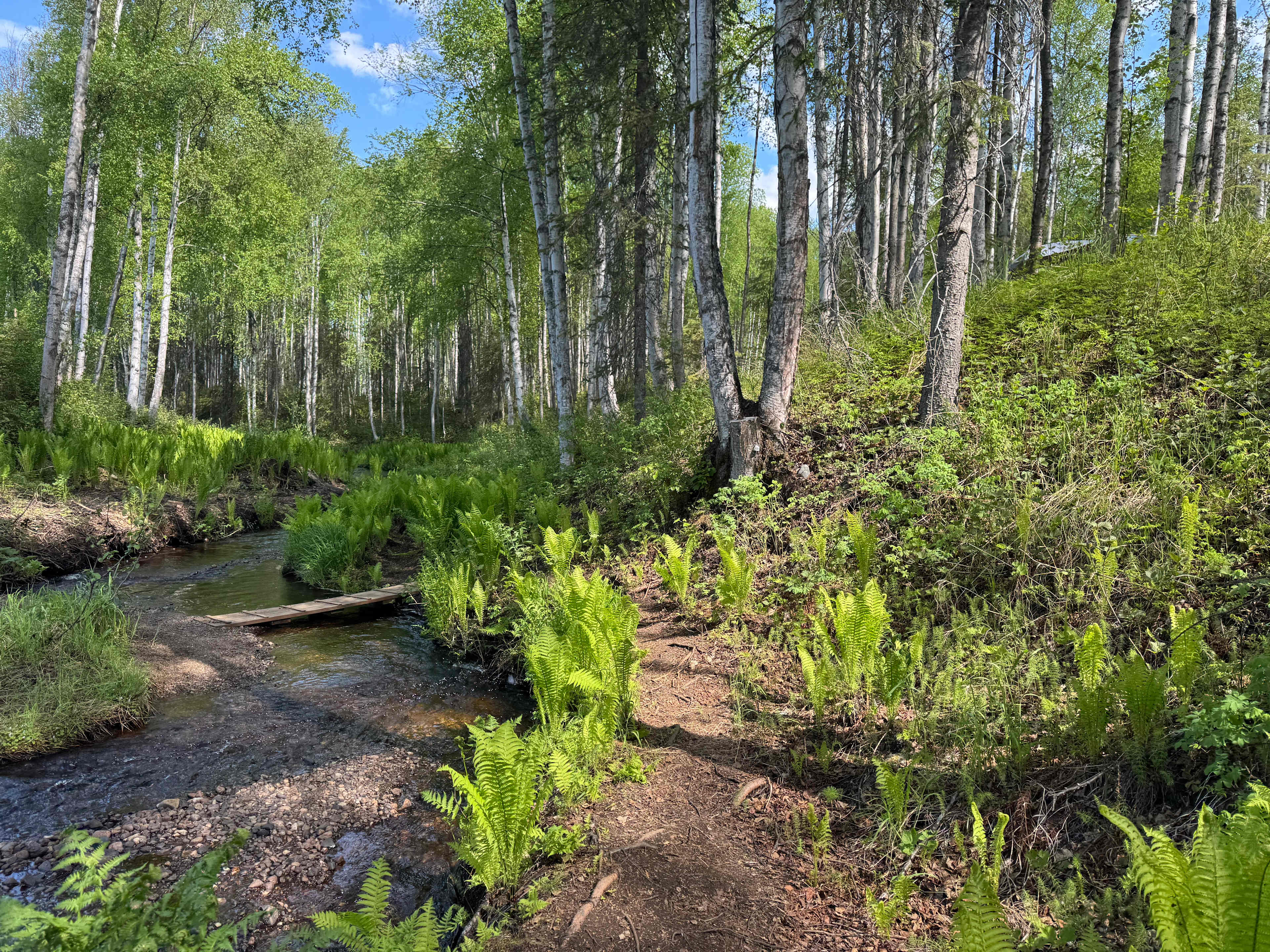 Creekside Campground