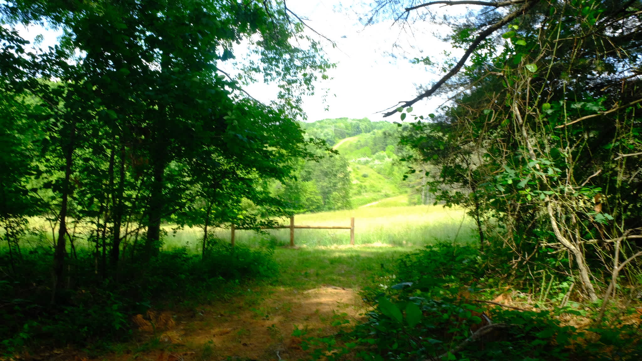 My Spot-Private Forest Campsite