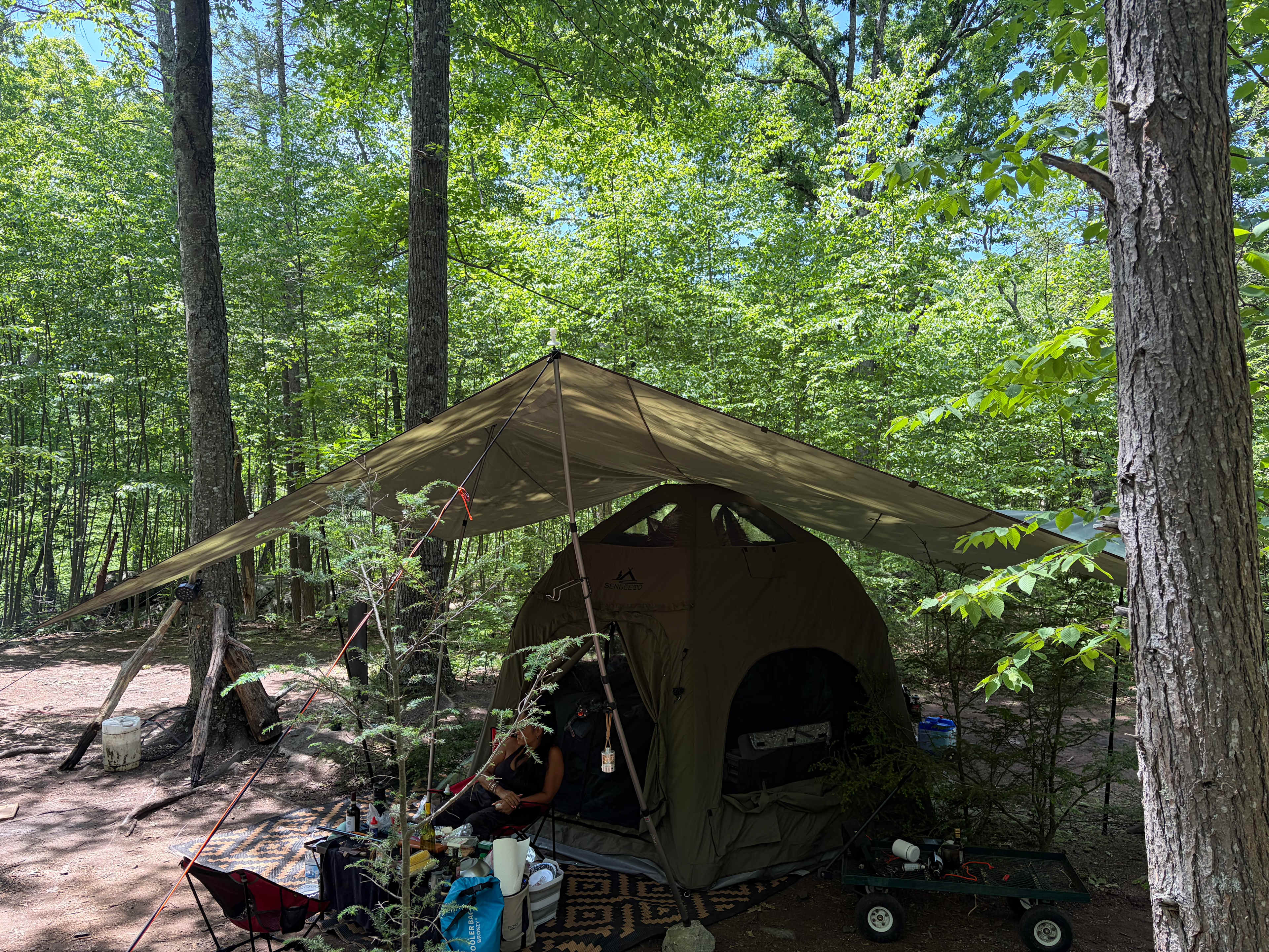 Site 7: Kathy son cleared the site out and it now has room for three large tents.