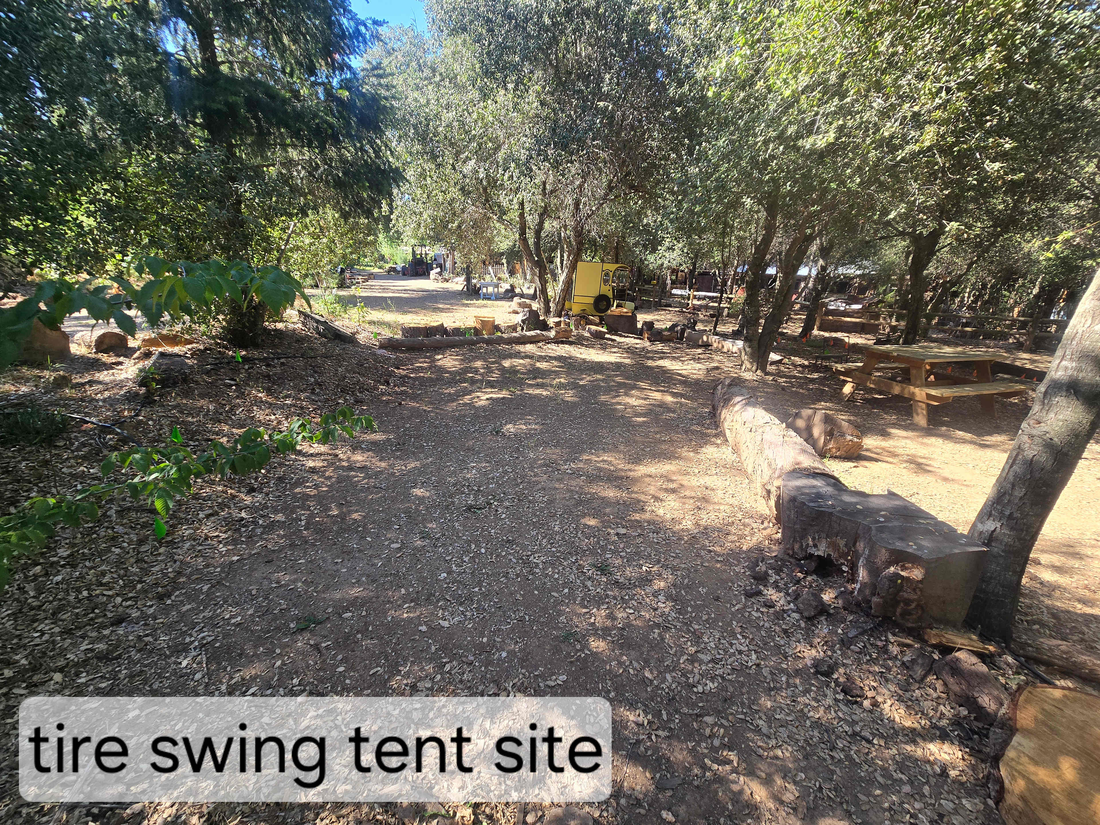 Picture of the site