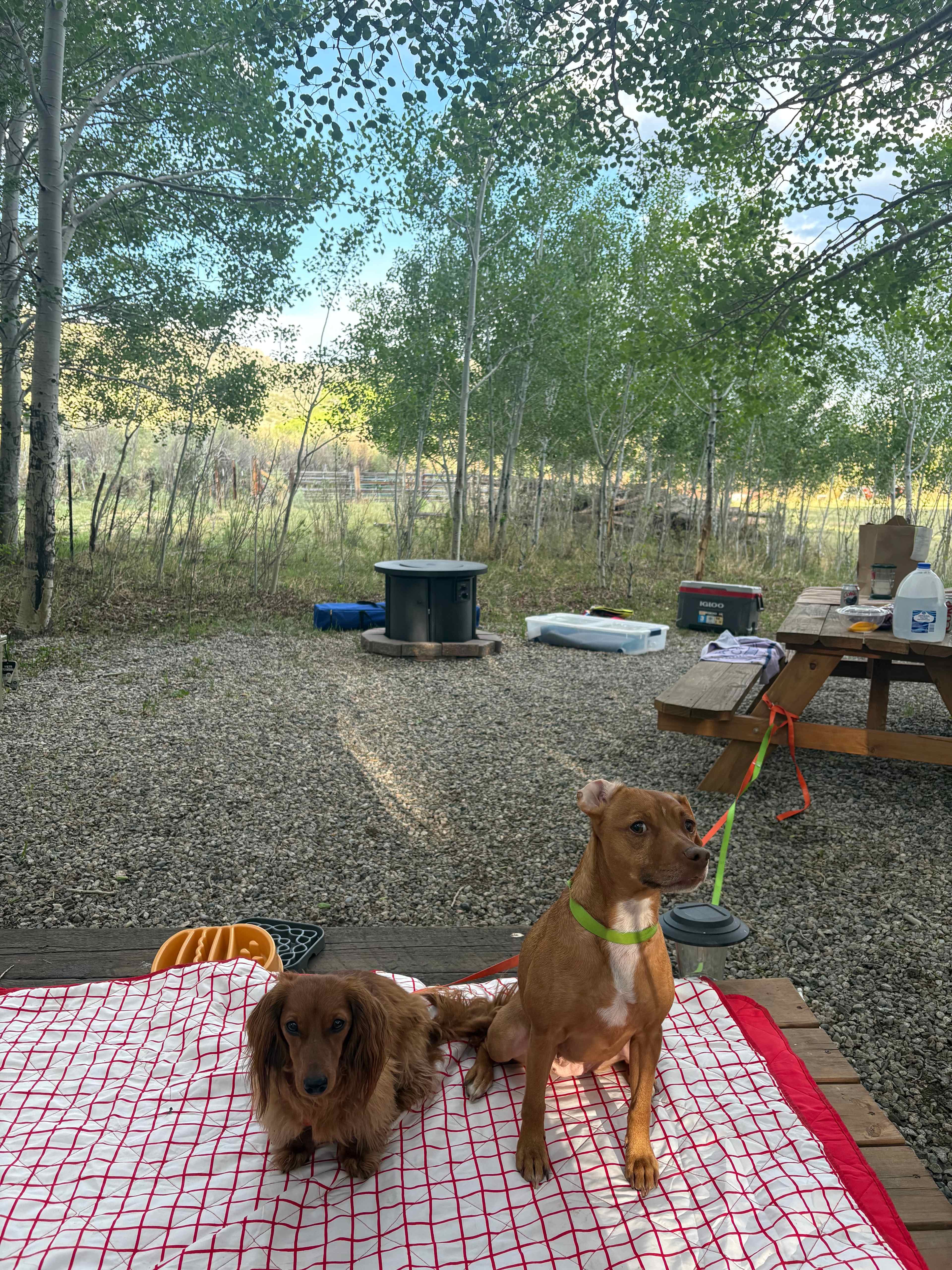 Frenchman's Creek Ranch