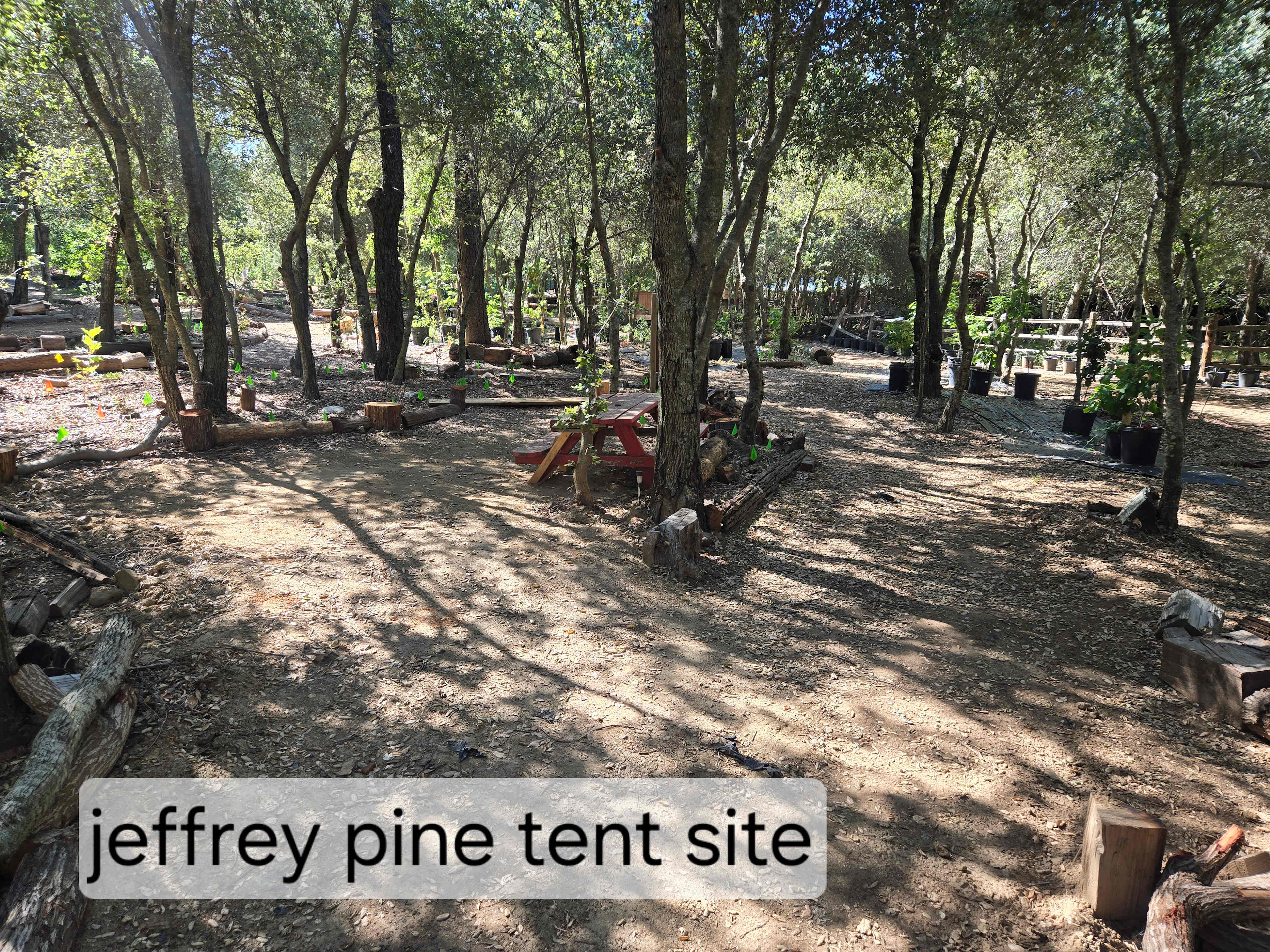 Picture of the site