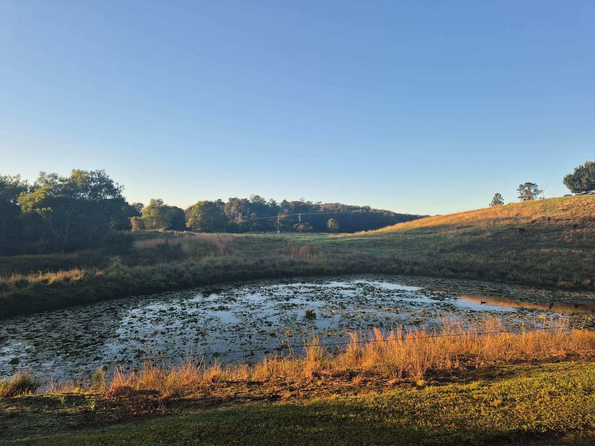 Nambucca Valley Hidden Gem