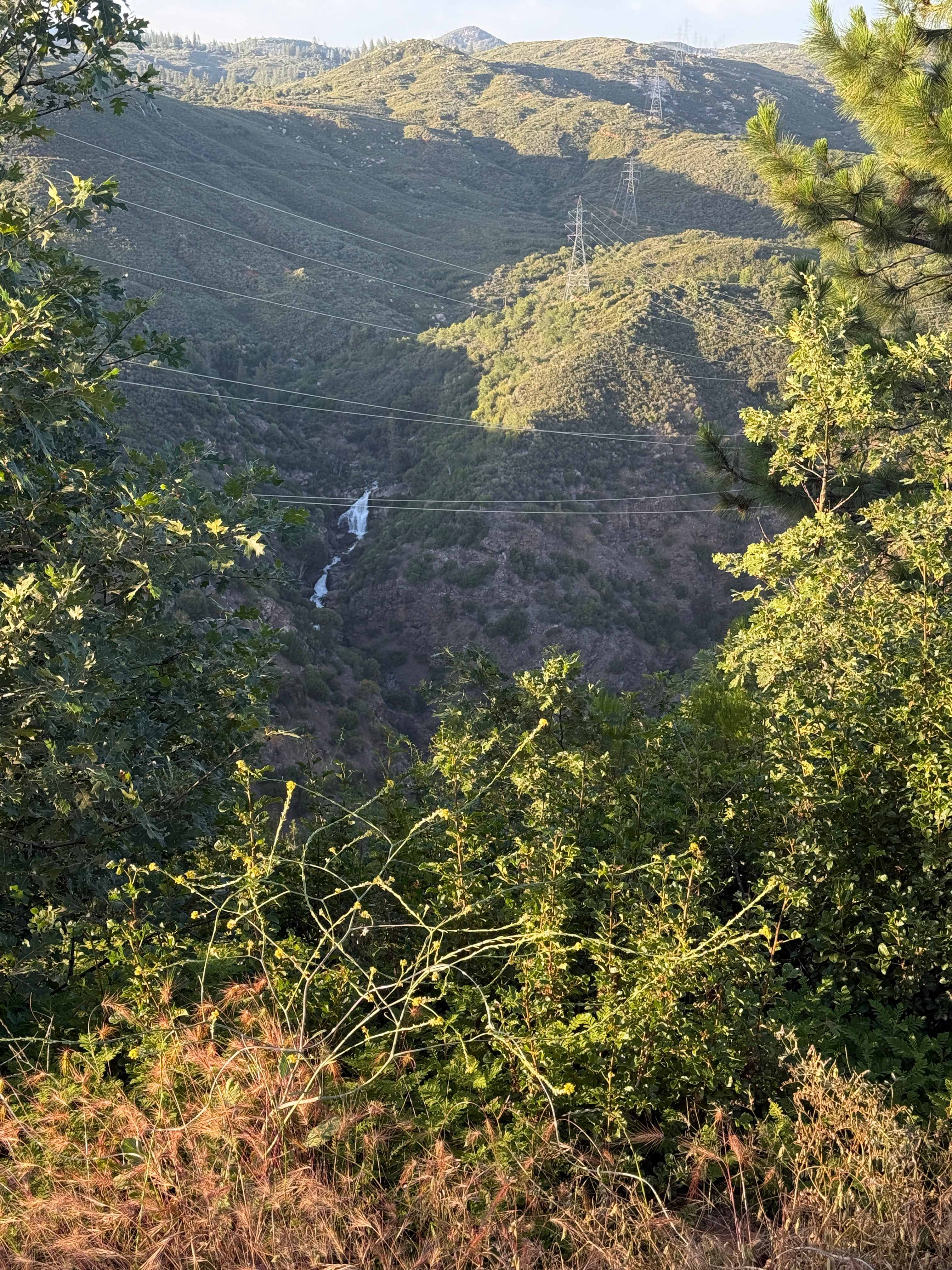 Waterfall in the distance. Close up it’s probably 50’ ish. 